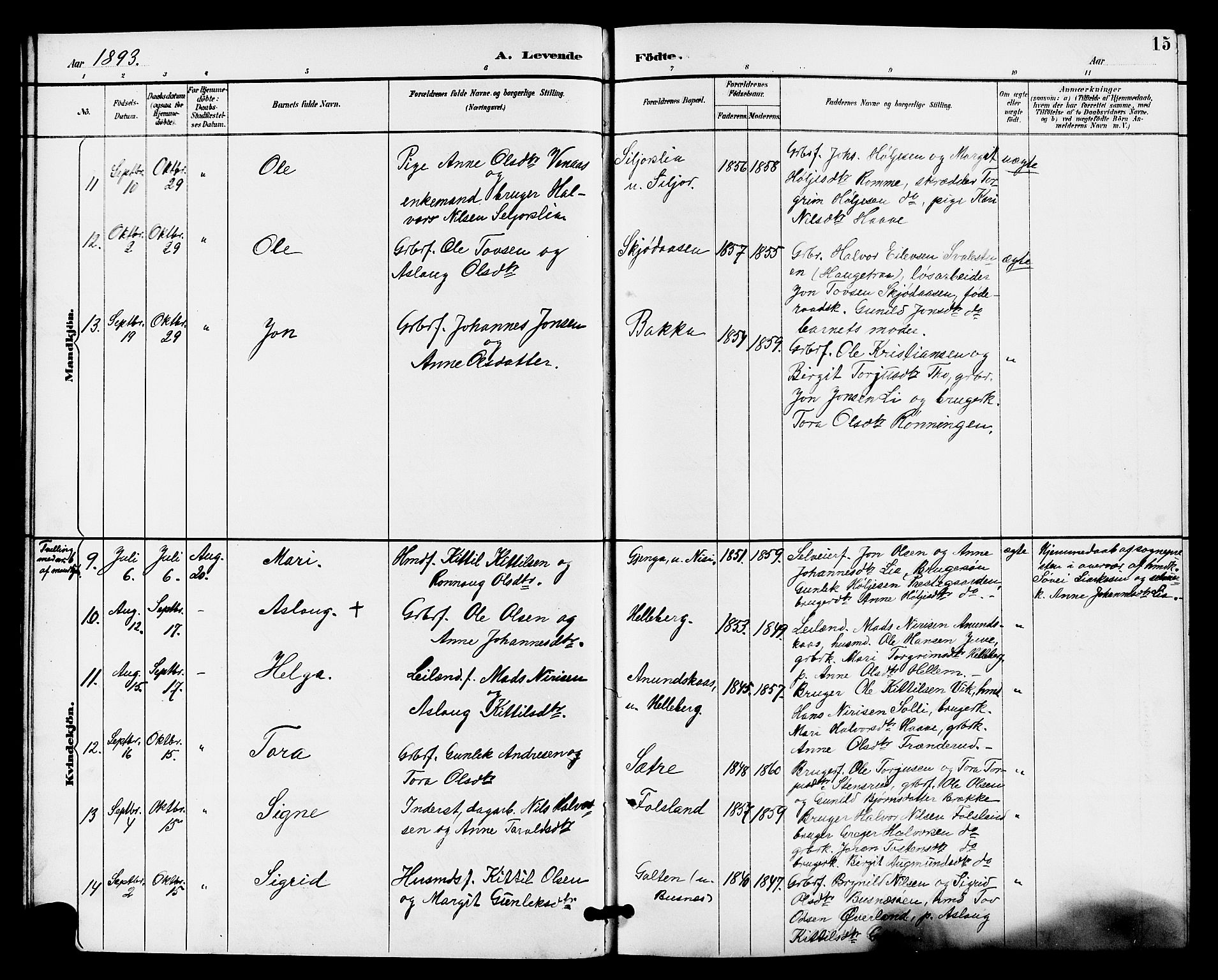 Gransherad kirkebøker, AV/SAKO-A-267/G/Ga/L0003: Parish register (copy) no. I 3, 1887-1915, p. 15