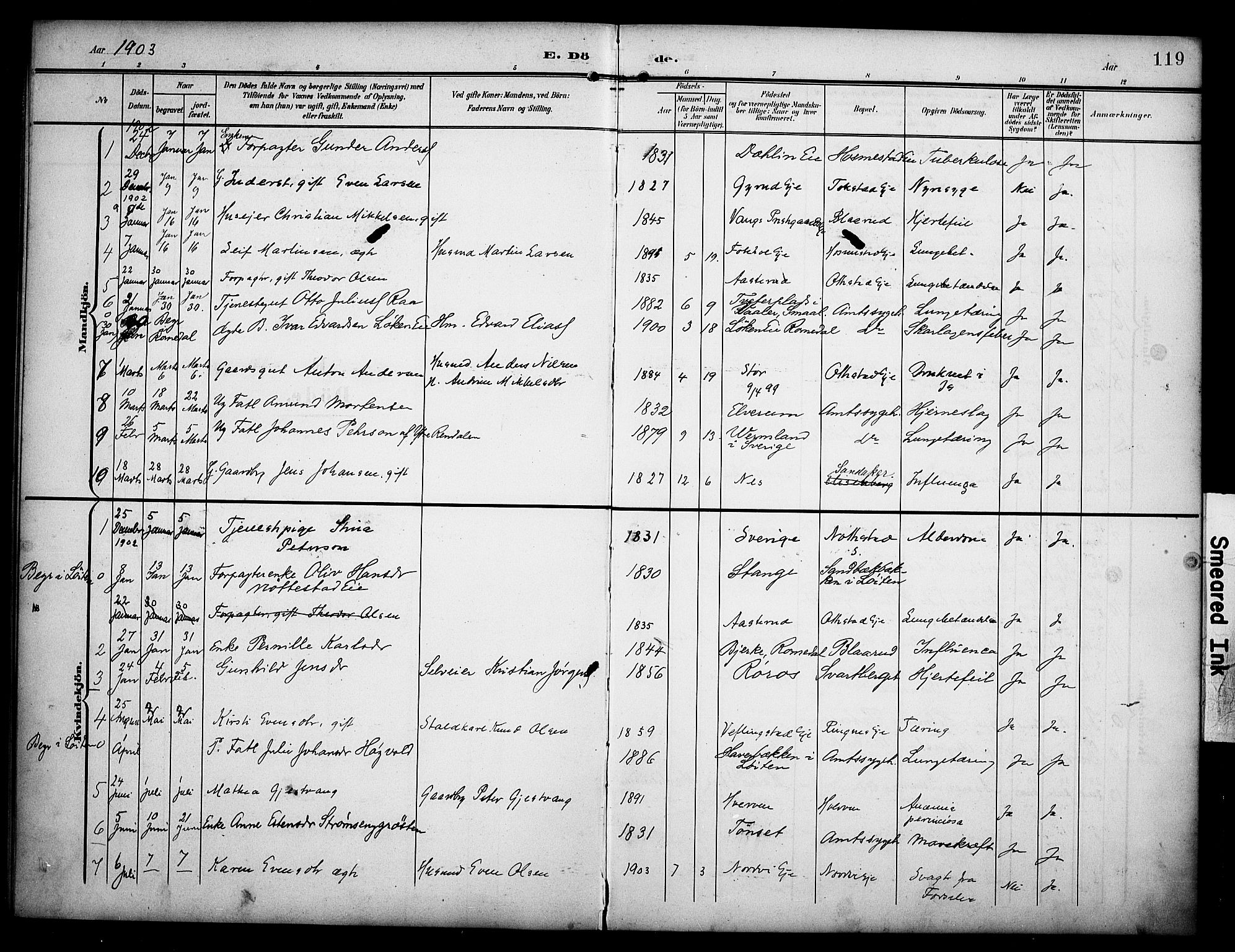 Stange prestekontor, SAH/PREST-002/K/L0022: Parish register (official) no. 22, 1903-1914, p. 119