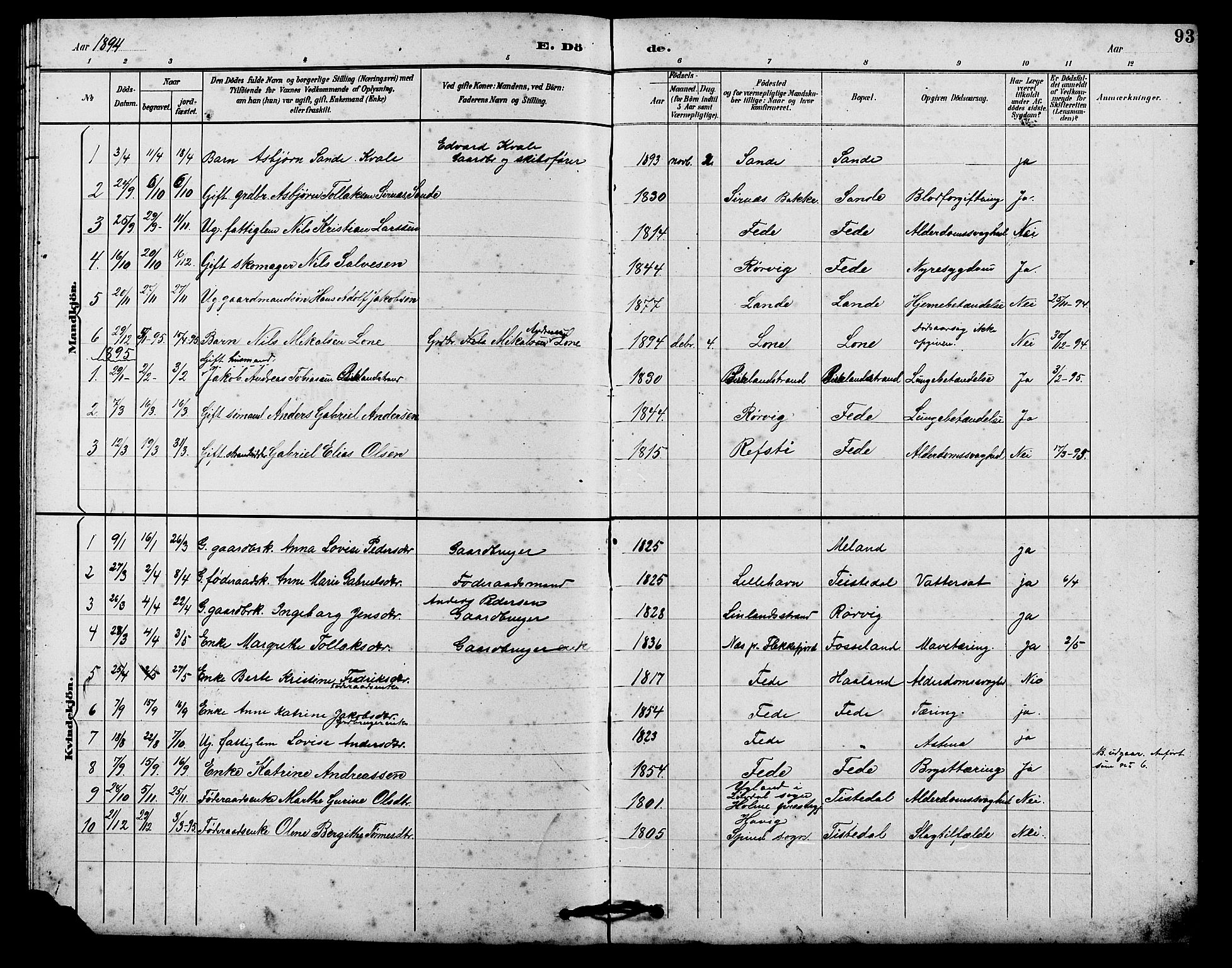 Kvinesdal sokneprestkontor, AV/SAK-1111-0026/F/Fb/Fba/L0004: Parish register (copy) no. B 4, 1894-1909, p. 93