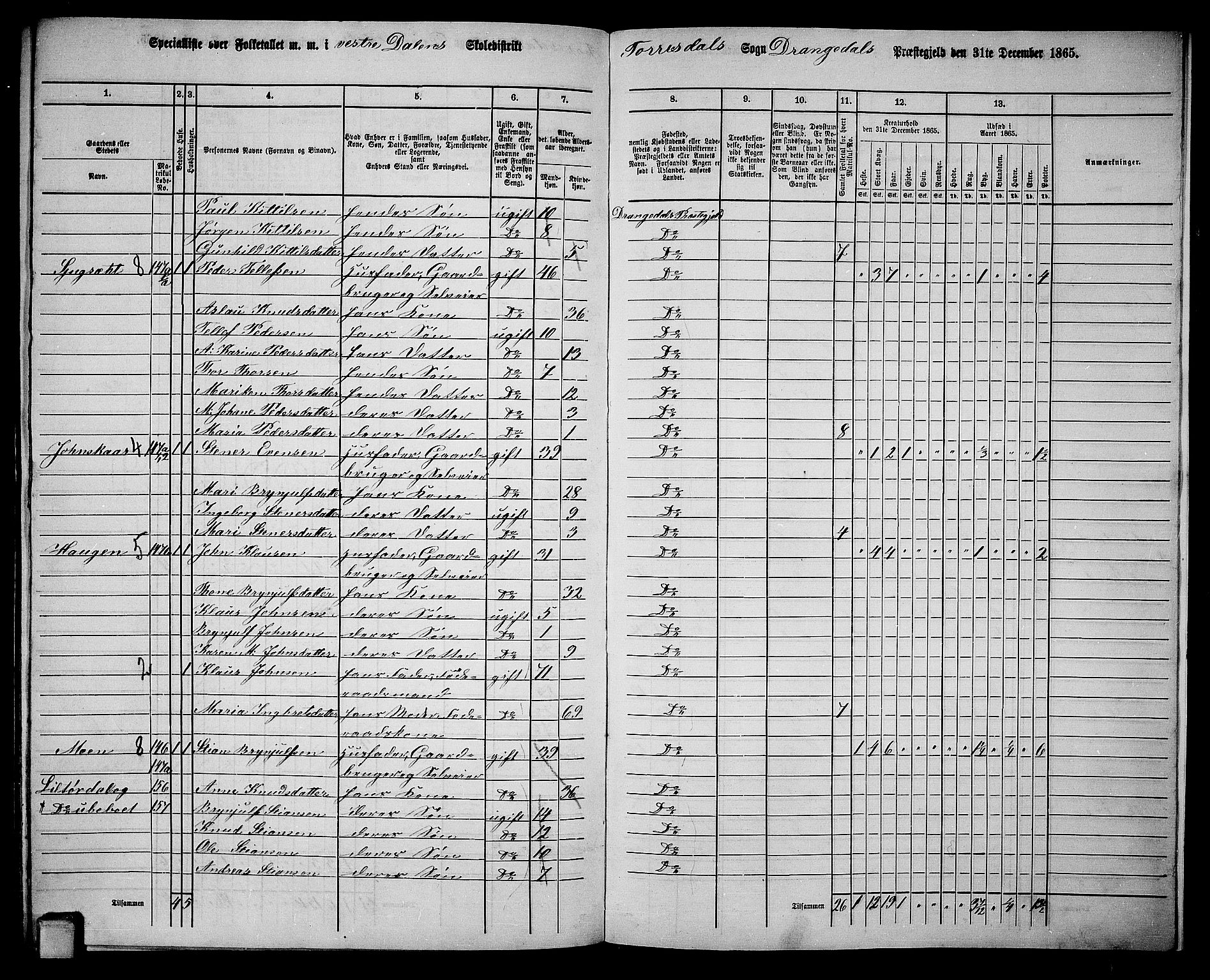 RA, 1865 census for Drangedal, 1865, p. 141