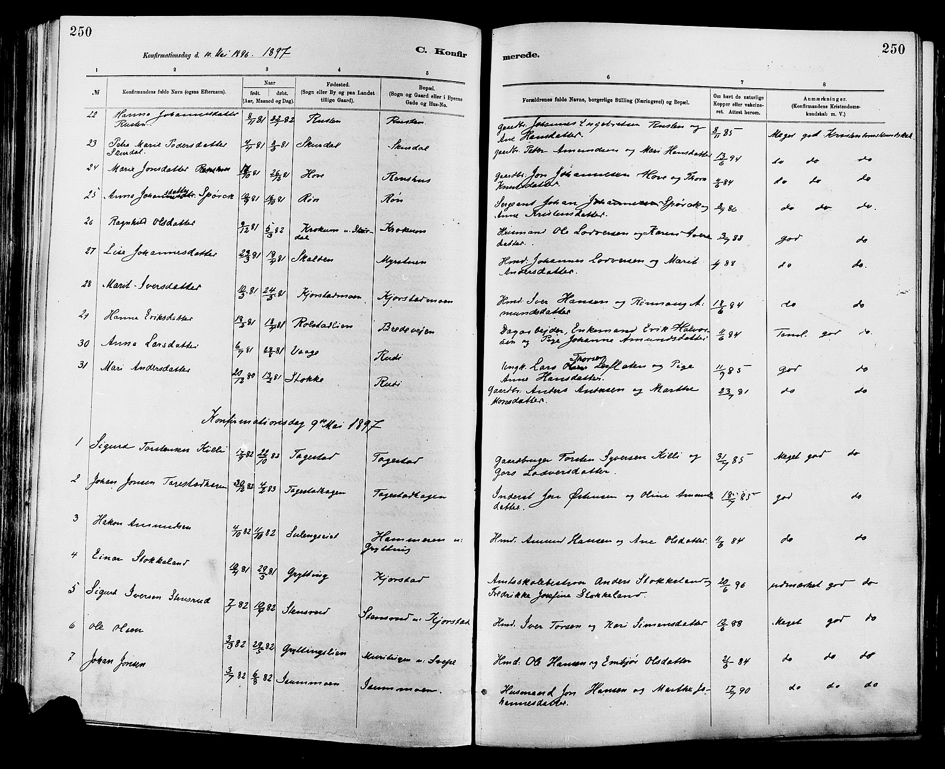 Sør-Fron prestekontor, SAH/PREST-010/H/Ha/Haa/L0003: Parish register (official) no. 3, 1881-1897, p. 250