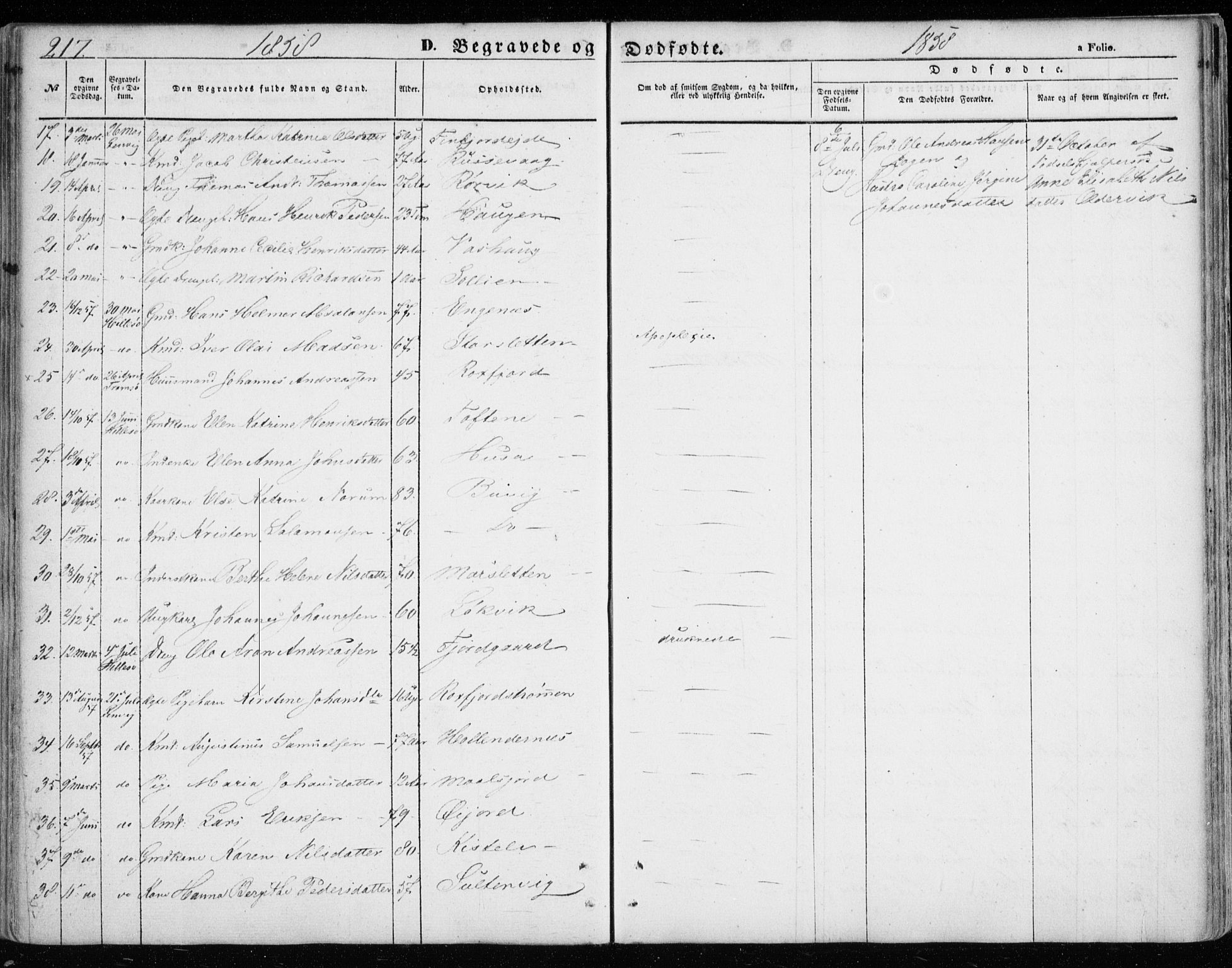 Lenvik sokneprestembete, SATØ/S-1310/H/Ha/Haa/L0007kirke: Parish register (official) no. 7, 1855-1865, p. 217