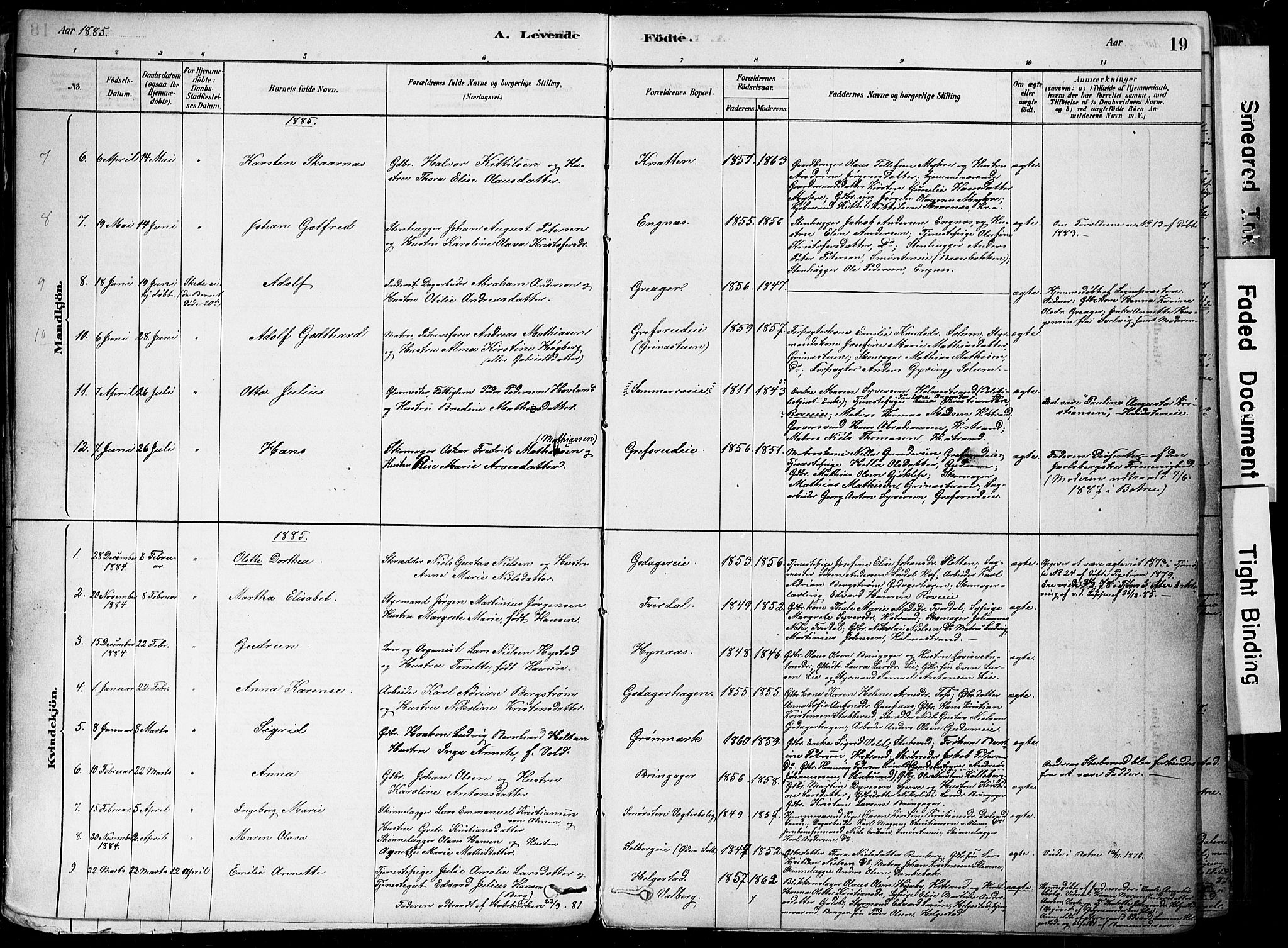 Botne kirkebøker, SAKO/A-340/F/Fa/L0007: Parish register (official) no. I 7, 1878-1910, p. 19