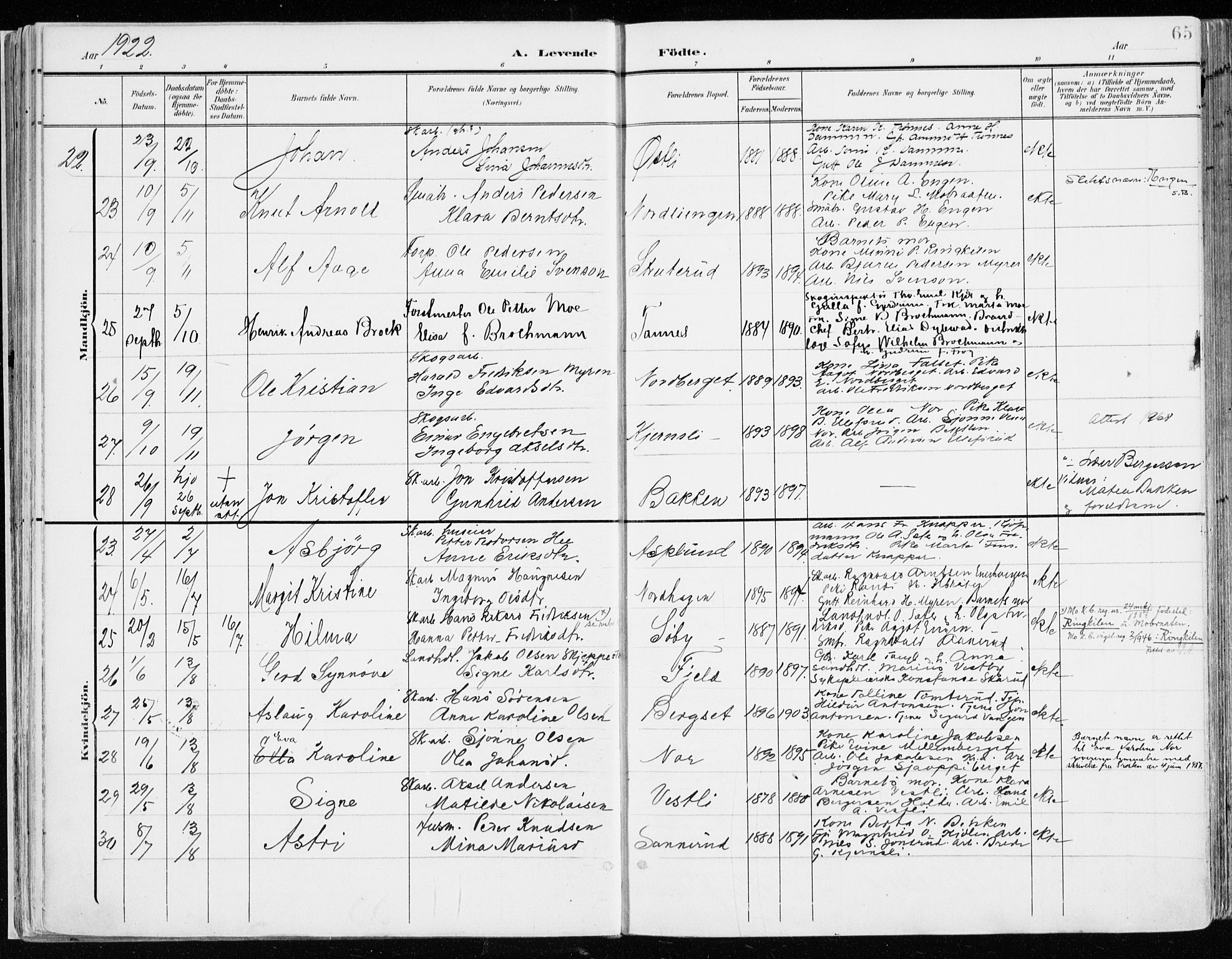 Nord-Odal prestekontor, AV/SAH-PREST-032/H/Ha/Haa/L0009: Parish register (official) no. 9, 1902-1926, p. 65