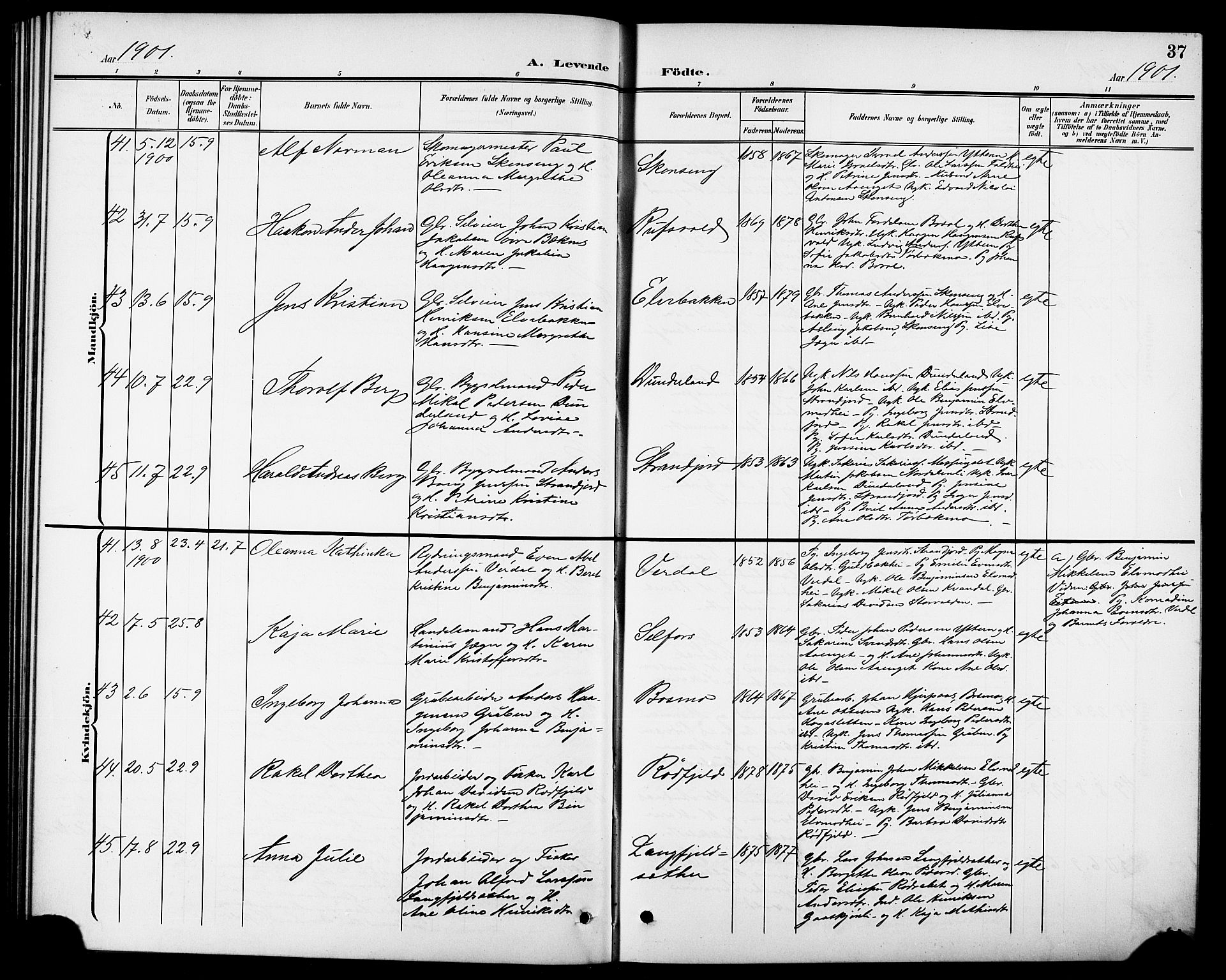 Ministerialprotokoller, klokkerbøker og fødselsregistre - Nordland, AV/SAT-A-1459/827/L0422: Parish register (copy) no. 827C11, 1899-1912, p. 37