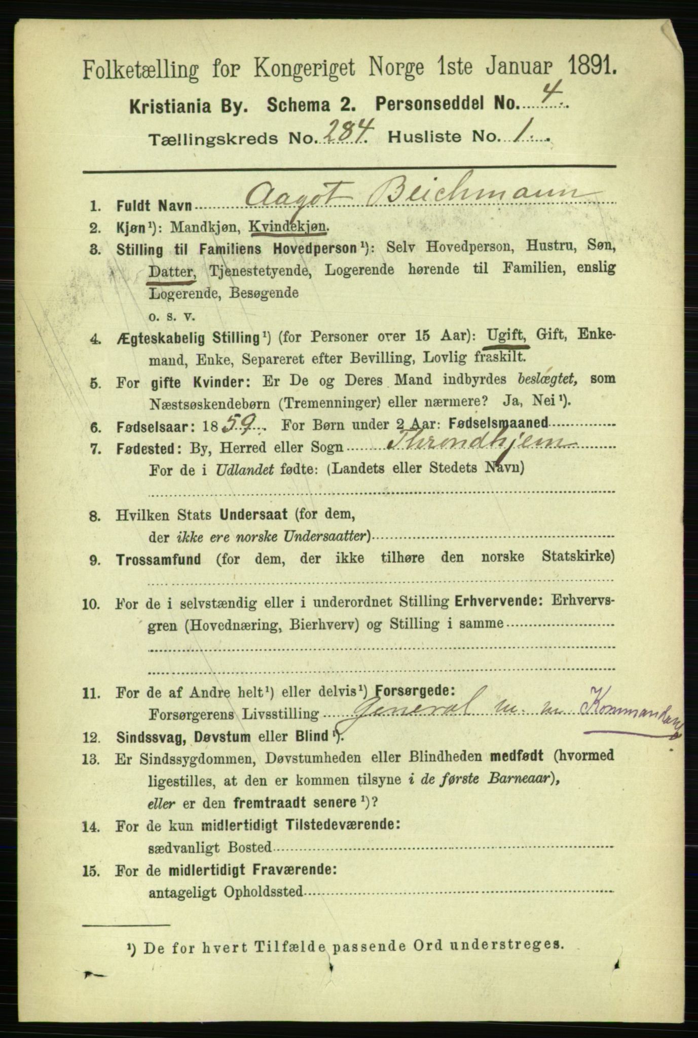 RA, 1891 census for 0301 Kristiania, 1891, p. 173524