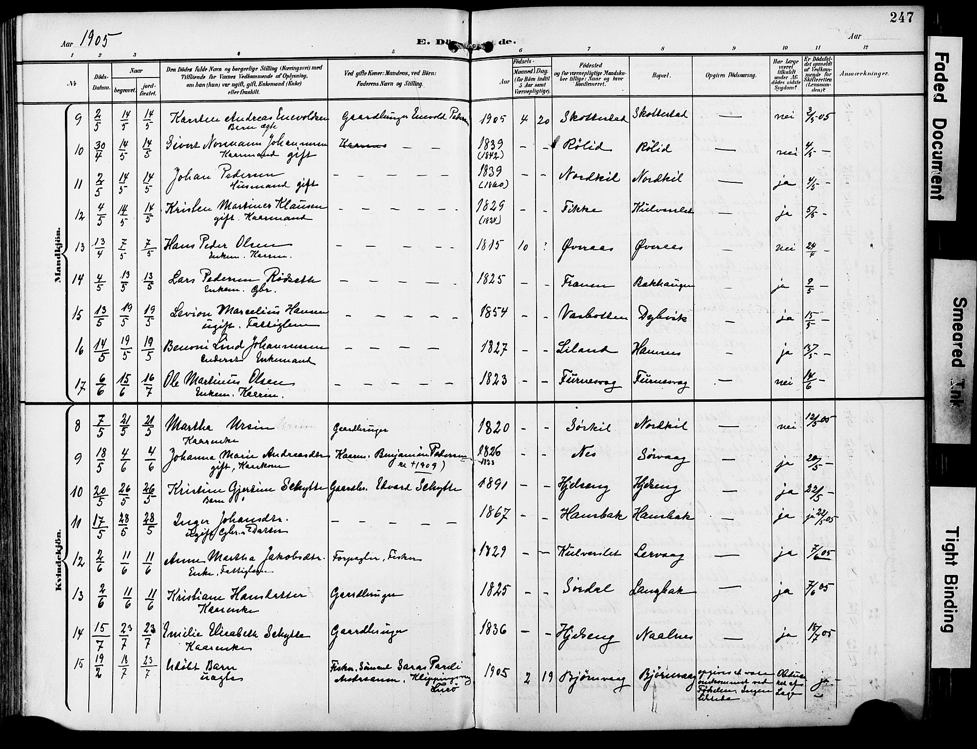 Ministerialprotokoller, klokkerbøker og fødselsregistre - Nordland, AV/SAT-A-1459/859/L0848: Parish register (official) no. 859A08, 1900-1912, p. 247