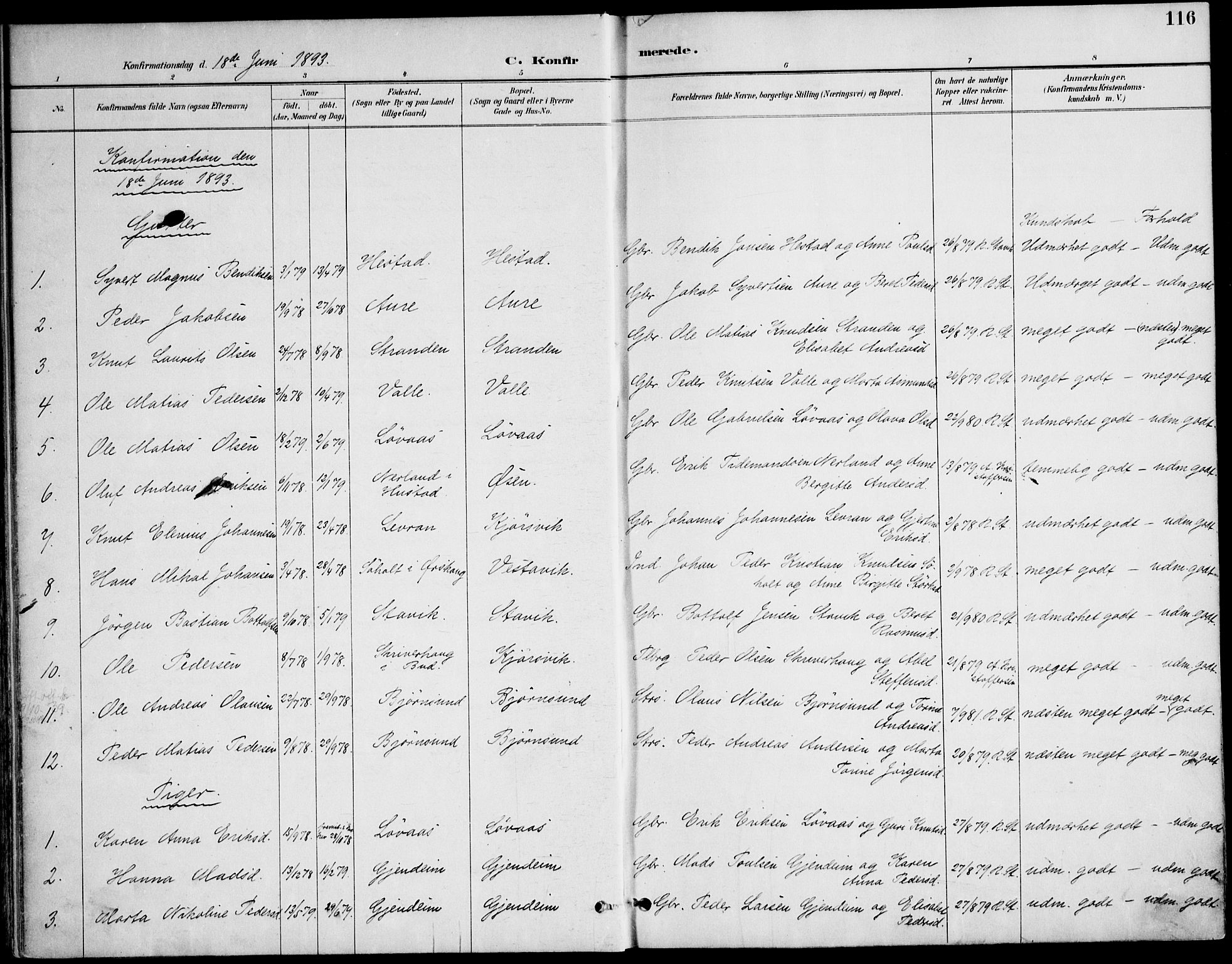 Ministerialprotokoller, klokkerbøker og fødselsregistre - Møre og Romsdal, AV/SAT-A-1454/565/L0750: Parish register (official) no. 565A04, 1887-1905, p. 116