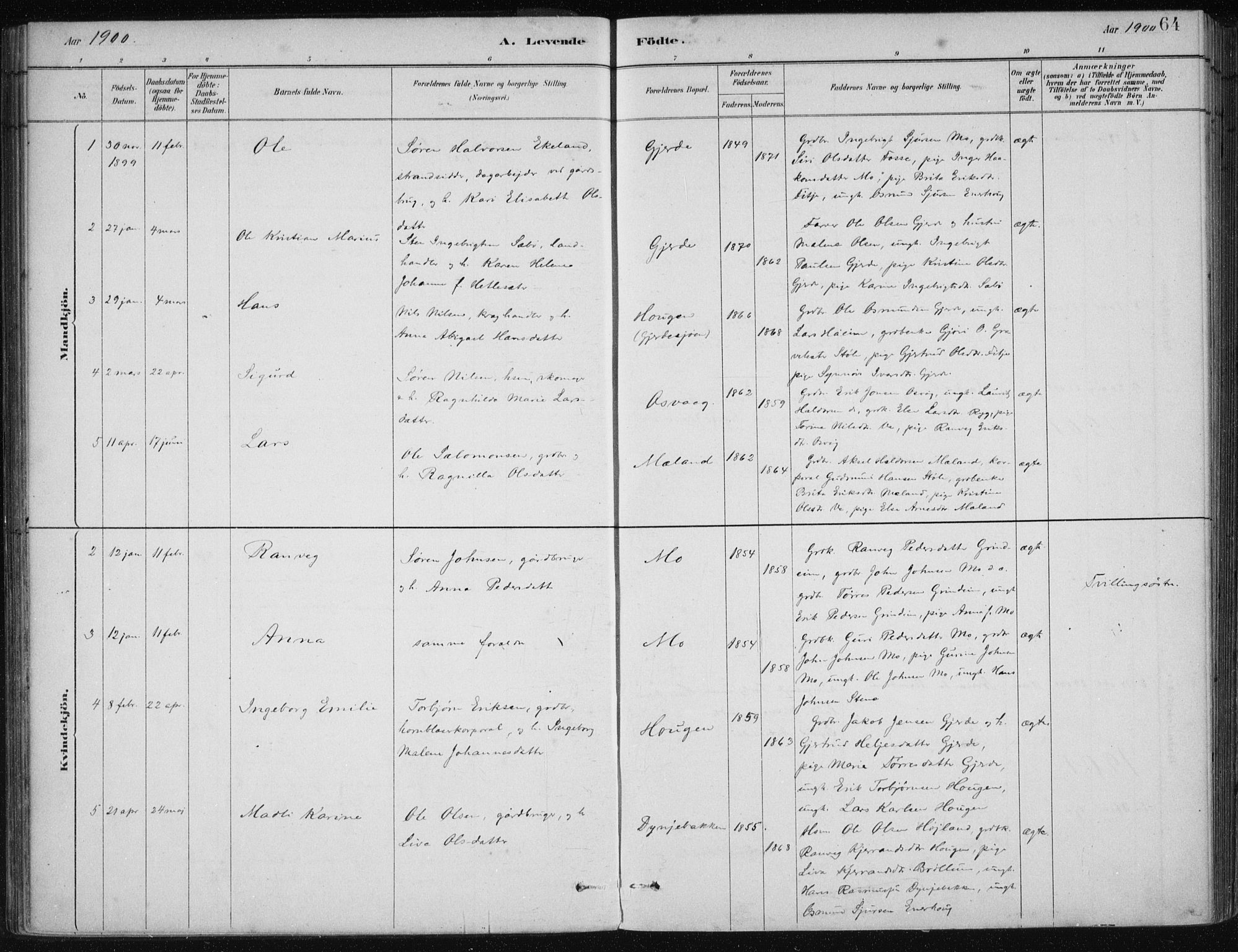 Etne sokneprestembete, AV/SAB-A-75001/H/Haa: Parish register (official) no. C  1, 1879-1919, p. 64