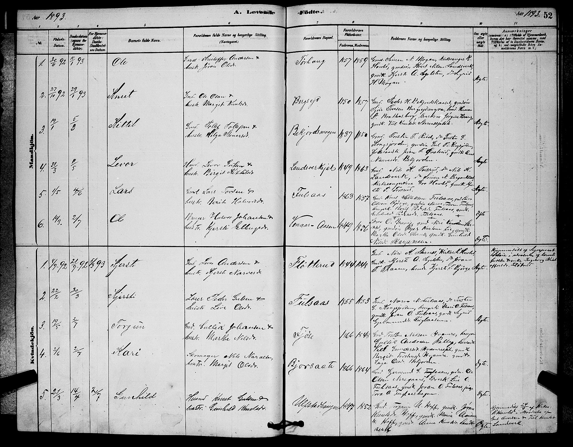 Rollag kirkebøker, SAKO/A-240/G/Ga/L0004: Parish register (copy) no. I 4, 1878-1903, p. 52