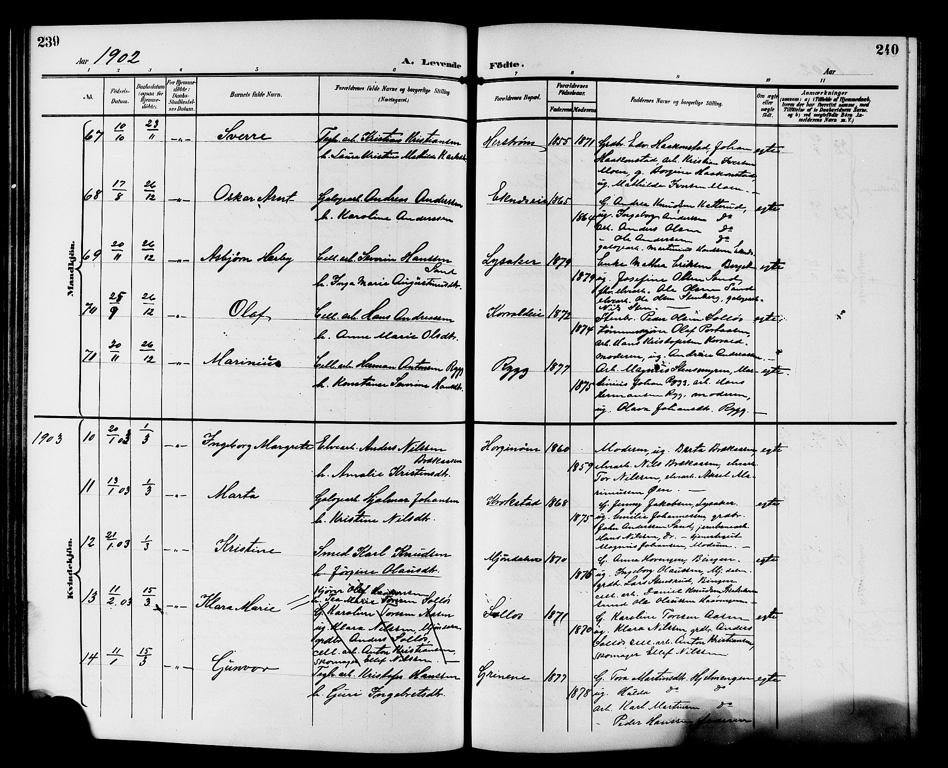Nedre Eiker kirkebøker, AV/SAKO-A-612/G/Ga/L0003: Parish register (copy) no. 3, 1896-1905, p. 239-240