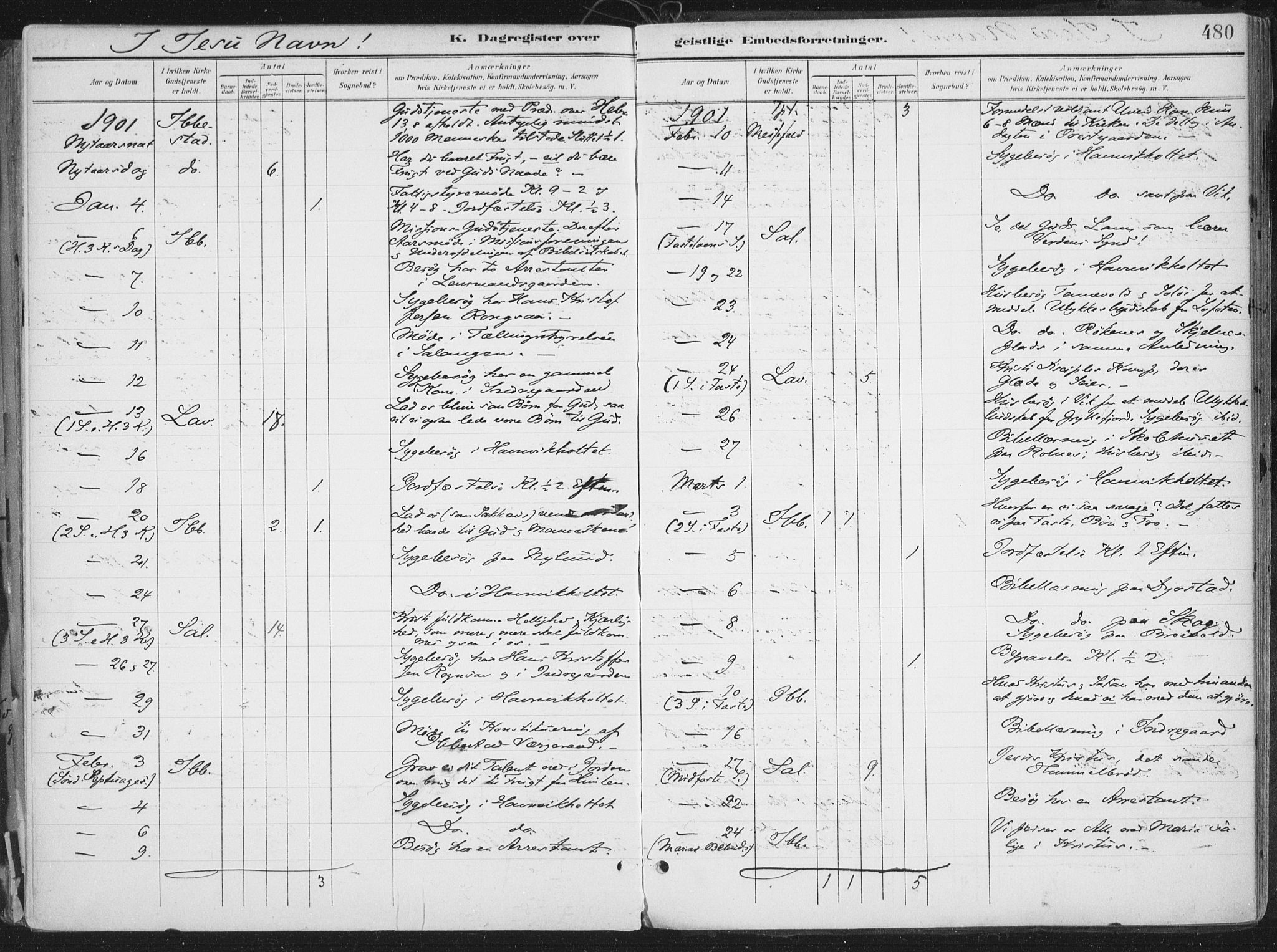Ibestad sokneprestembete, SATØ/S-0077/H/Ha/Haa/L0017kirke: Parish register (official) no. 17, 1901-1914, p. 480