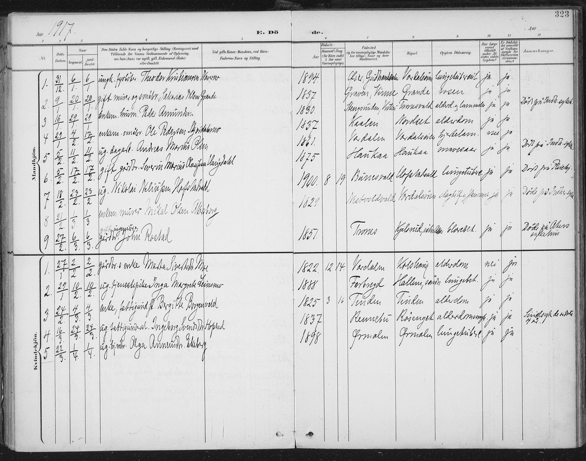 Ministerialprotokoller, klokkerbøker og fødselsregistre - Nord-Trøndelag, SAT/A-1458/723/L0246: Parish register (official) no. 723A15, 1900-1917, p. 323