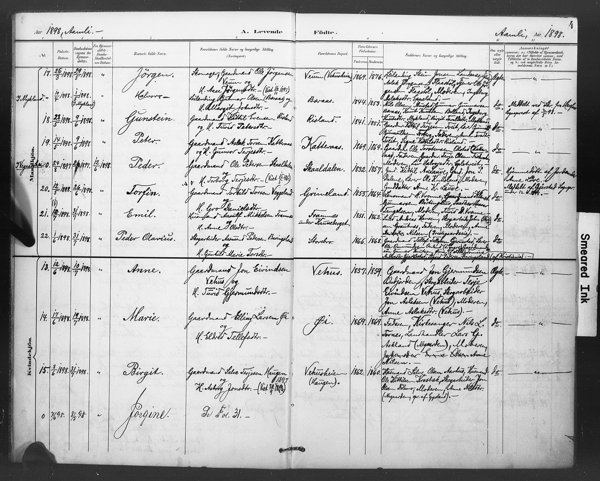 Åmli sokneprestkontor, AV/SAK-1111-0050/F/Fa/Fac/L0011: Parish register (official) no. A 11, 1898-1899, p. 4