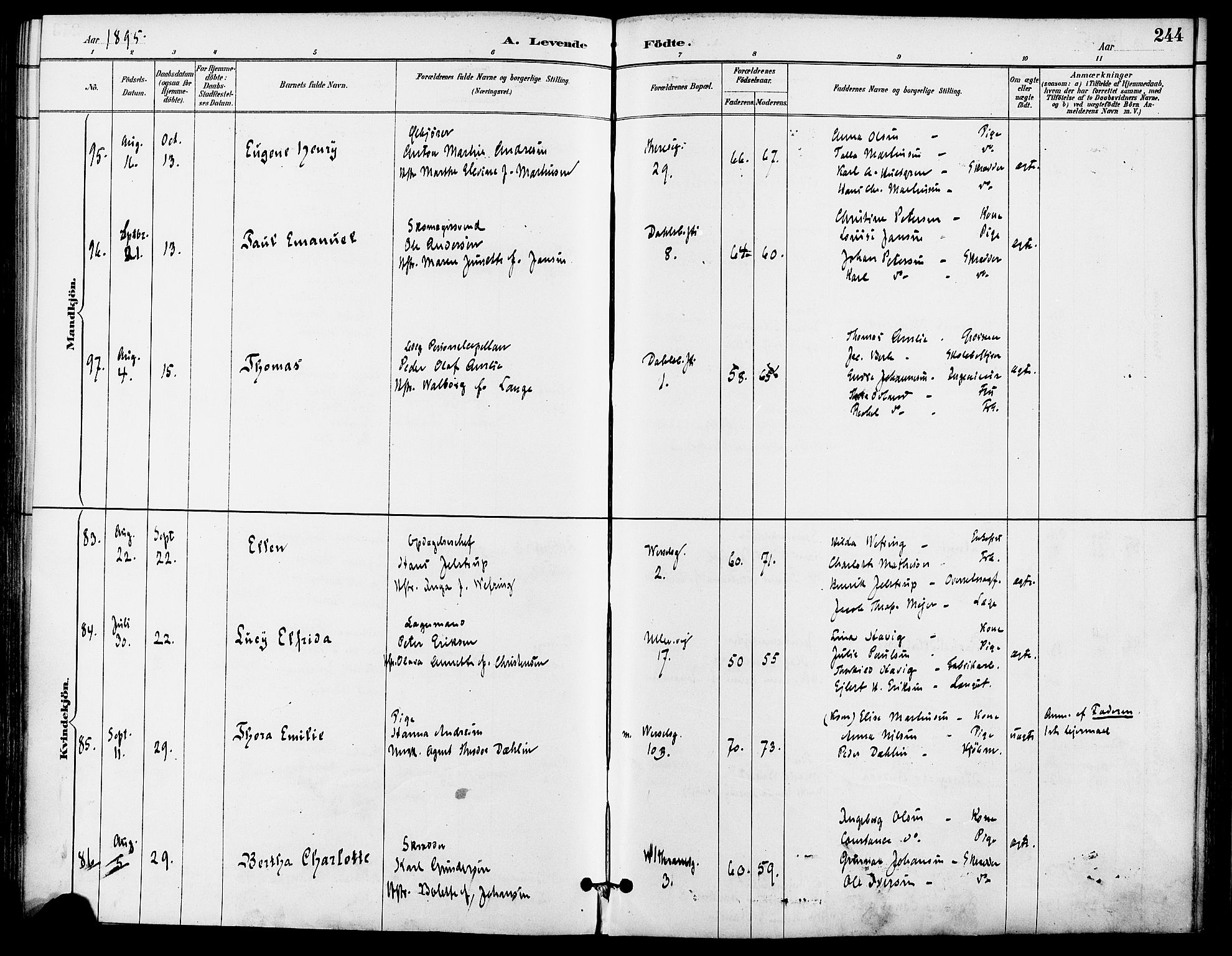 Gamle Aker prestekontor Kirkebøker, AV/SAO-A-10617a/F/L0008: Parish register (official) no. 8, 1887-1896, p. 244