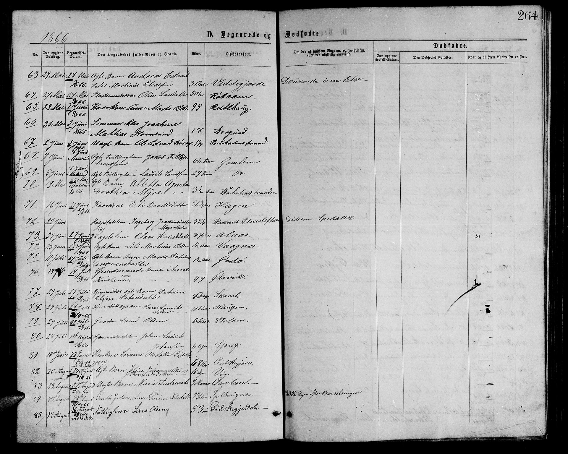 Ministerialprotokoller, klokkerbøker og fødselsregistre - Møre og Romsdal, AV/SAT-A-1454/528/L0428: Parish register (copy) no. 528C09, 1864-1880, p. 264