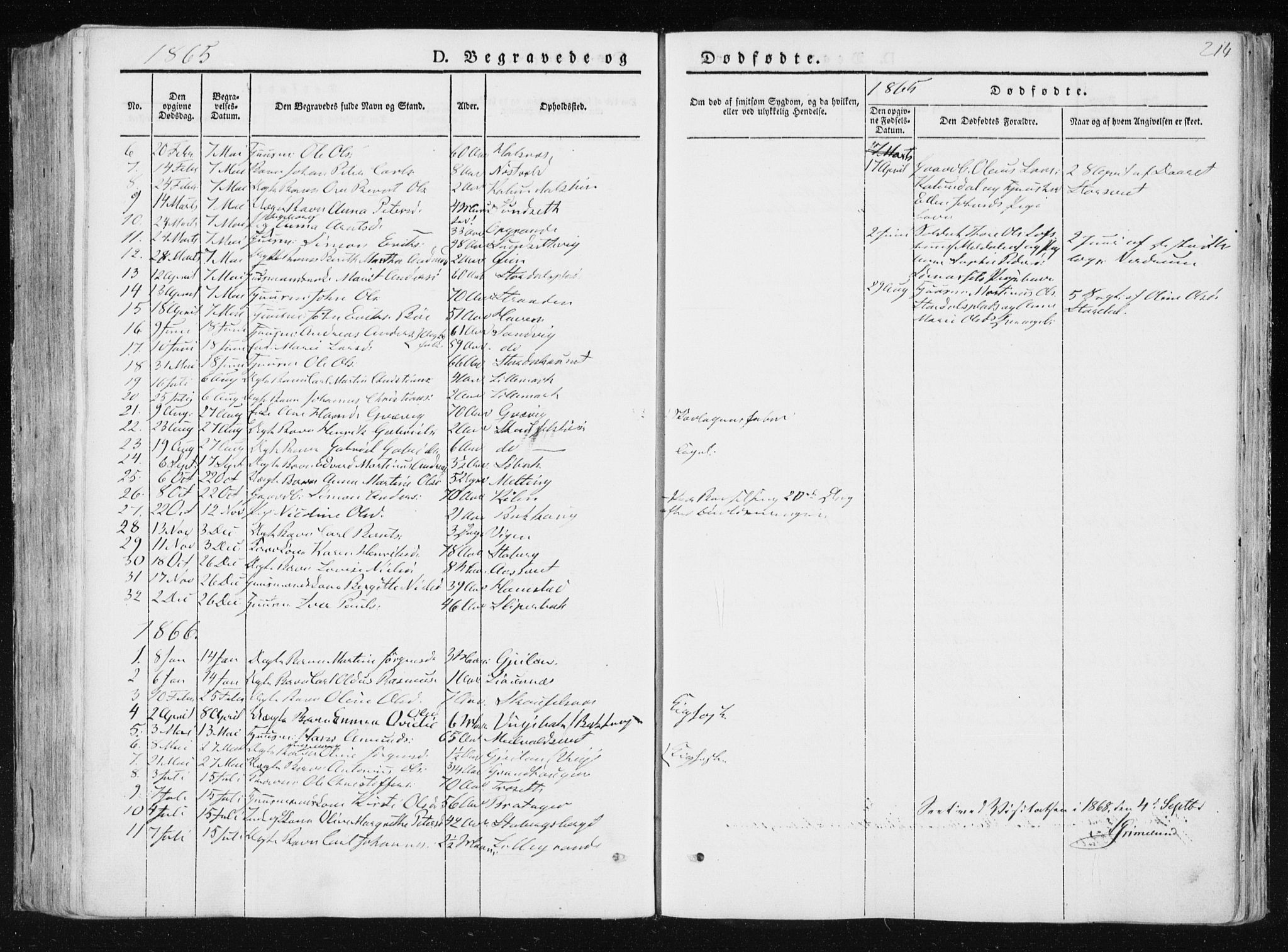 Ministerialprotokoller, klokkerbøker og fødselsregistre - Nord-Trøndelag, AV/SAT-A-1458/733/L0323: Parish register (official) no. 733A02, 1843-1870, p. 214