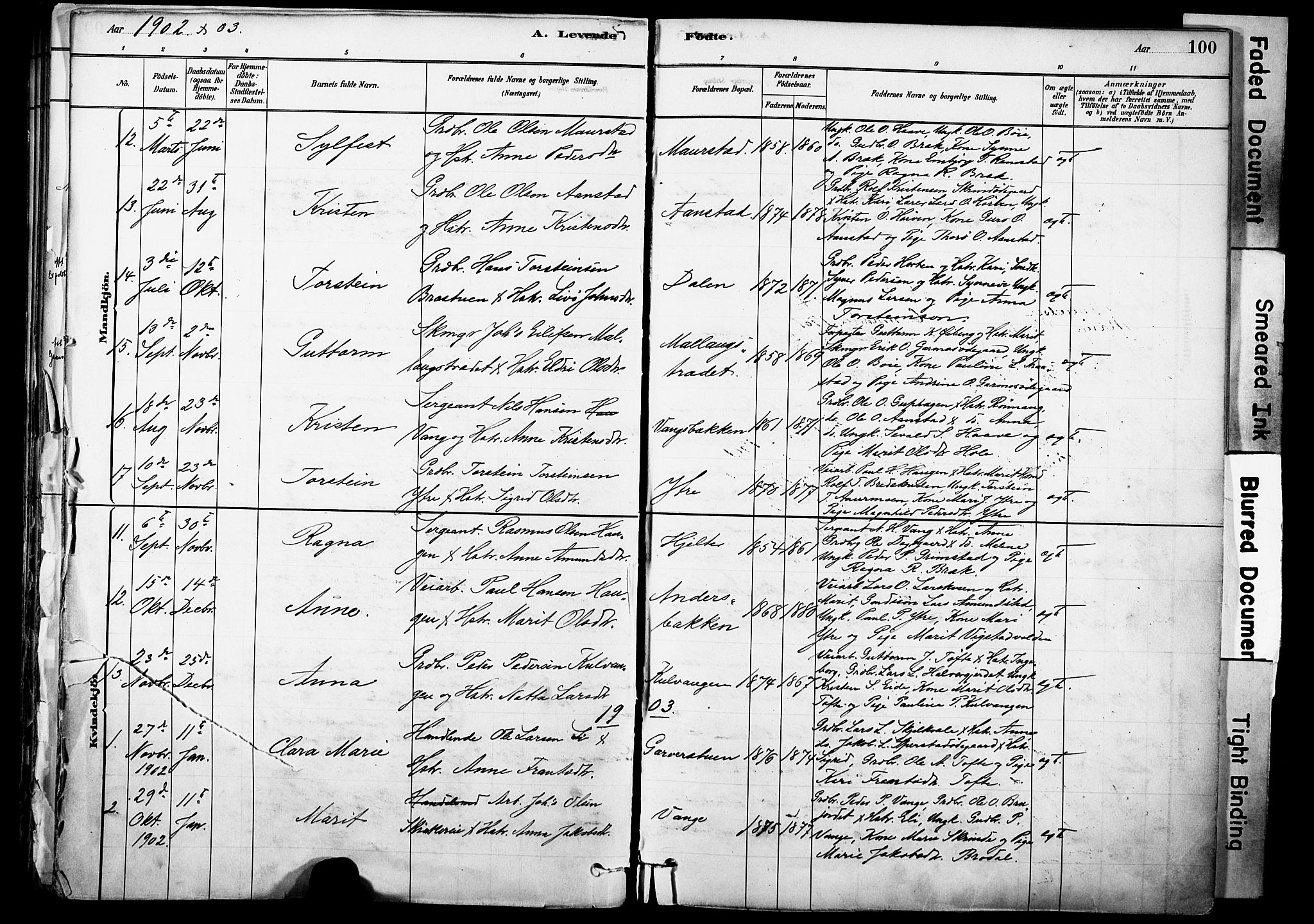 Skjåk prestekontor, SAH/PREST-072/H/Ha/Haa/L0003: Parish register (official) no. 3, 1880-1907, p. 100