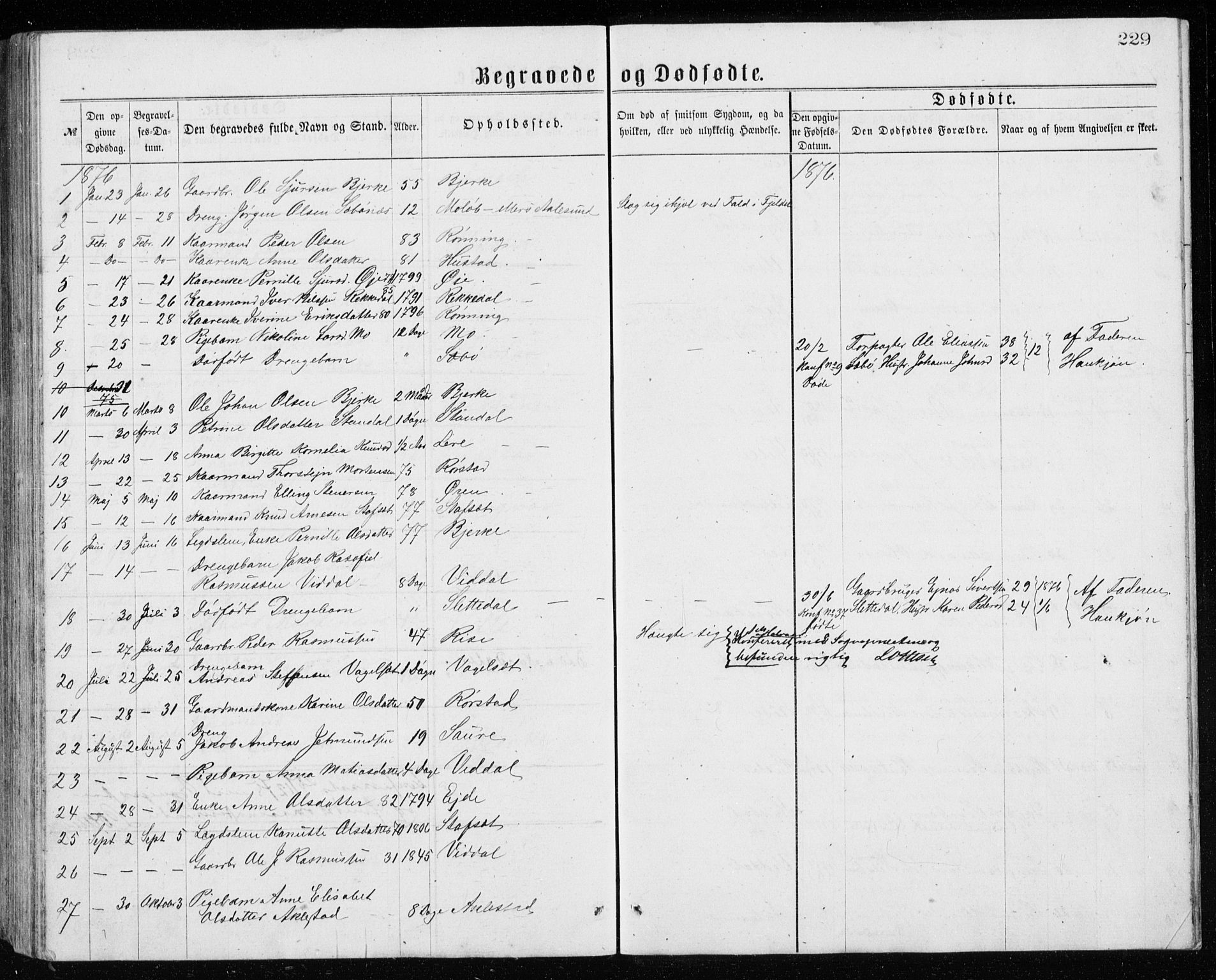 Ministerialprotokoller, klokkerbøker og fødselsregistre - Møre og Romsdal, AV/SAT-A-1454/515/L0214: Parish register (copy) no. 515C01, 1865-1883, p. 229