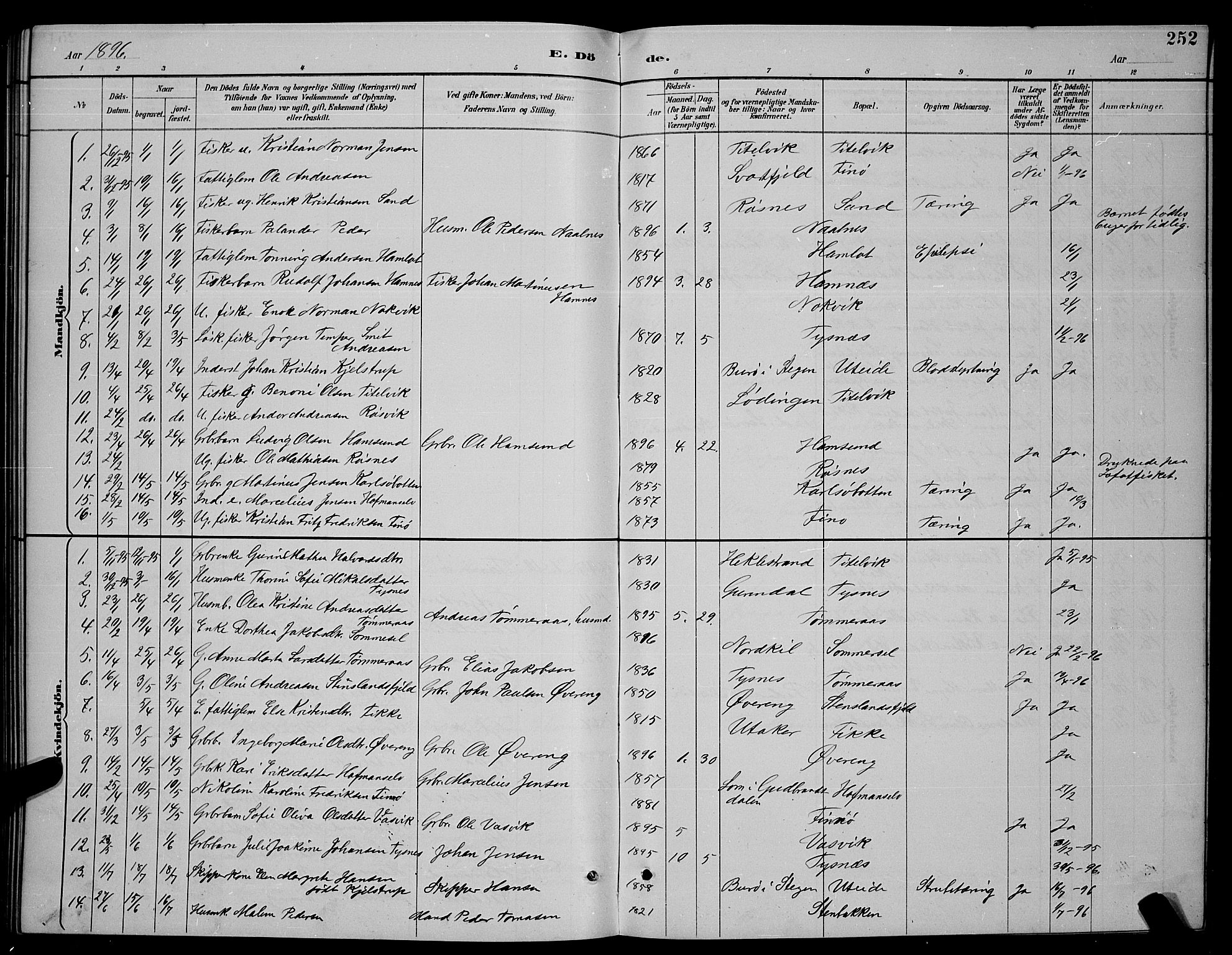 Ministerialprotokoller, klokkerbøker og fødselsregistre - Nordland, SAT/A-1459/859/L0859: Parish register (copy) no. 859C05, 1887-1898, p. 252