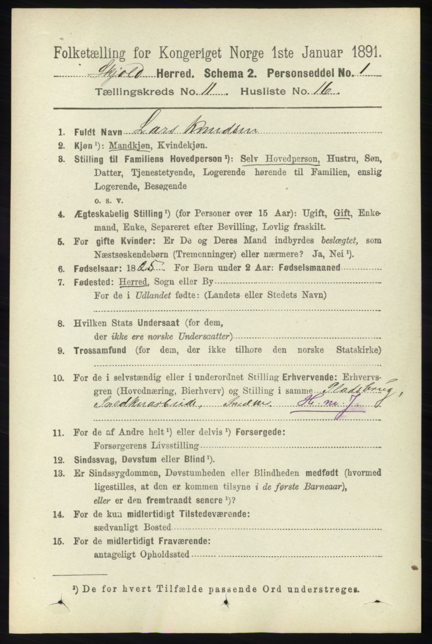 RA, 1891 census for 1154 Skjold, 1891, p. 2141