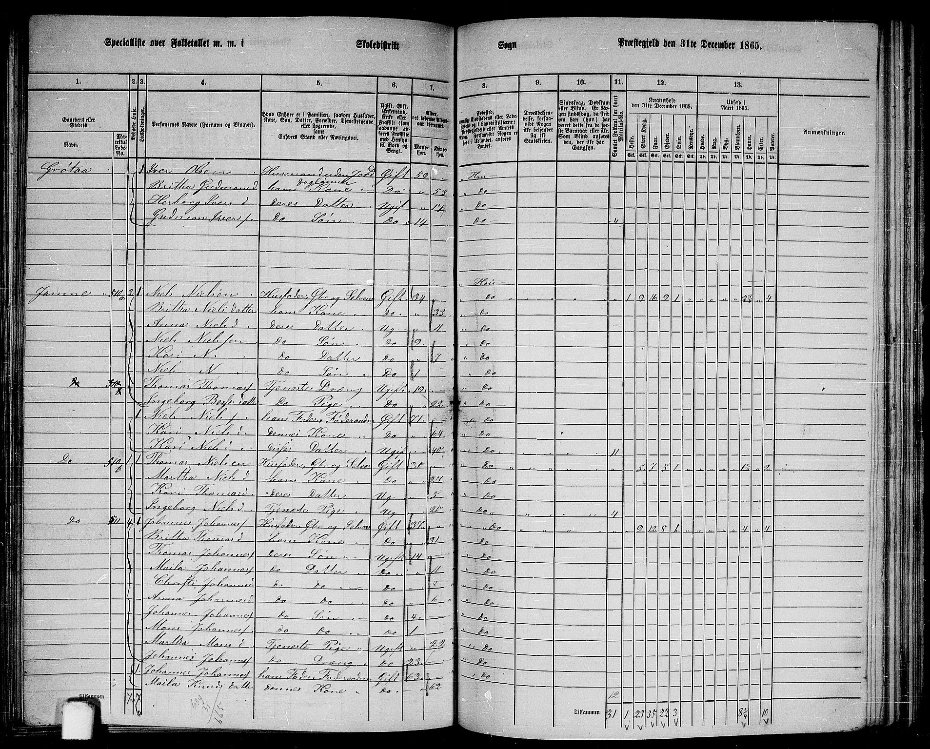 RA, 1865 census for Haus, 1865, p. 211