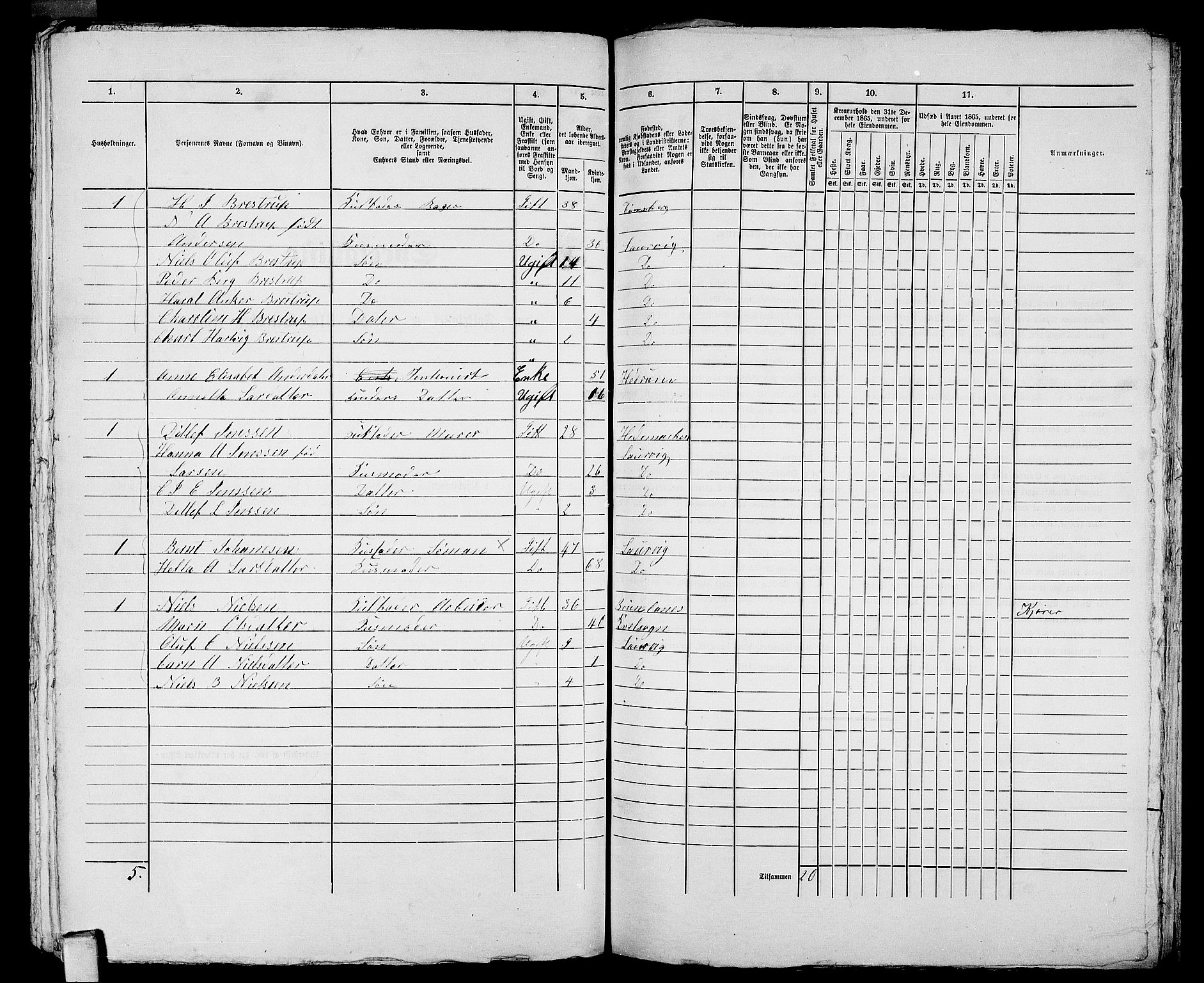 RA, 1865 census for Larvik, 1865, p. 1030