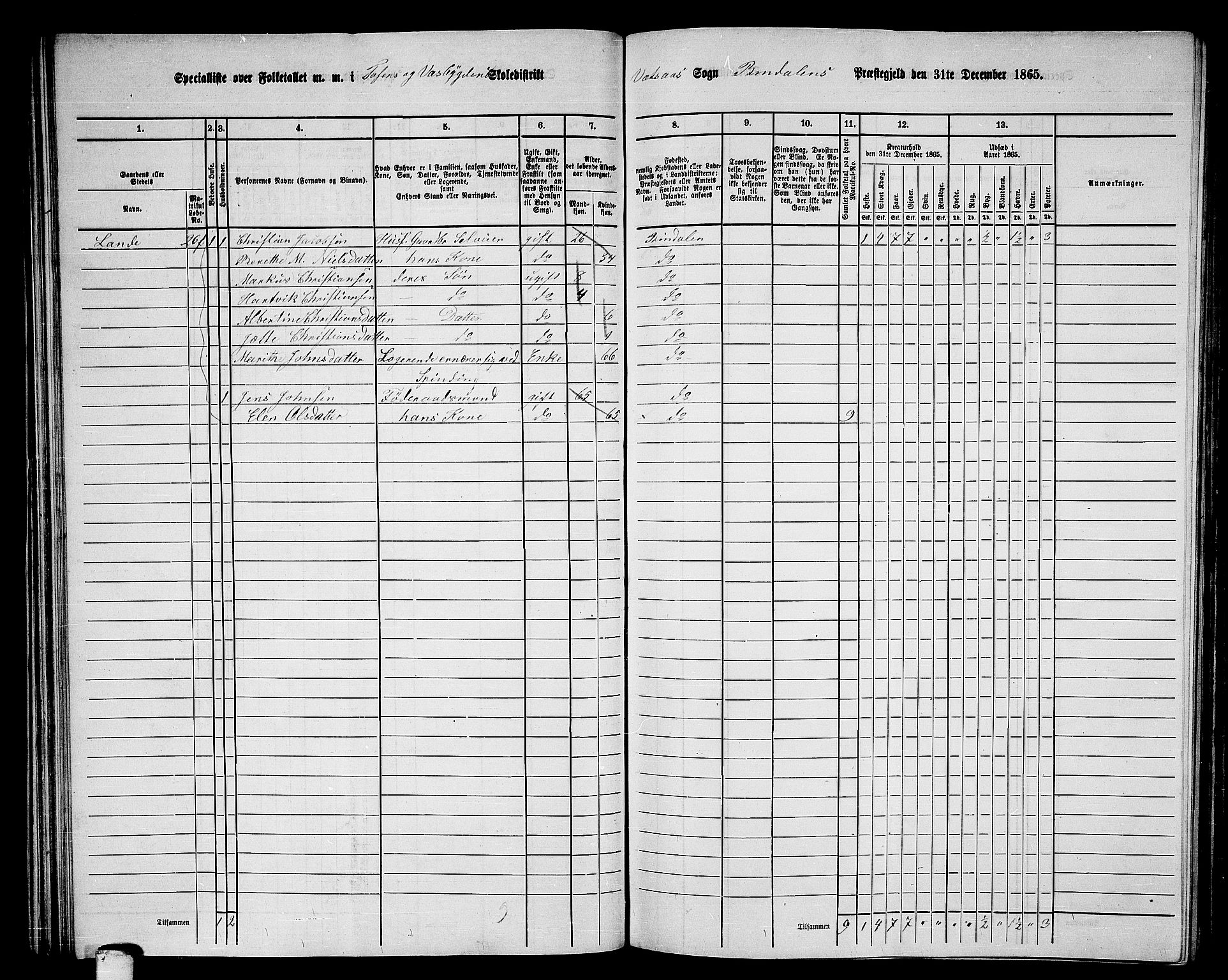 RA, 1865 census for Bindal, 1865, p. 41