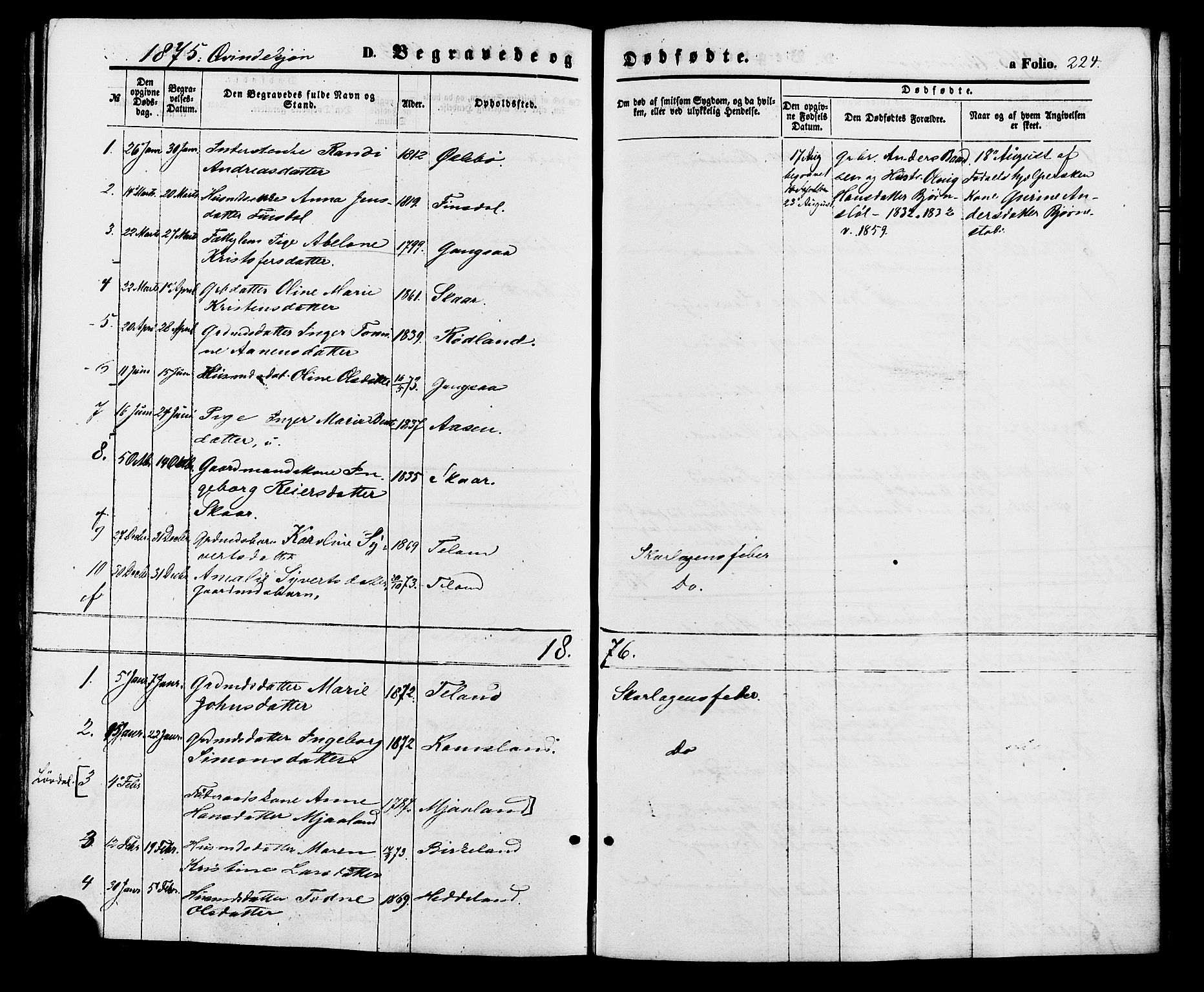 Holum sokneprestkontor, AV/SAK-1111-0022/F/Fa/Fac/L0003: Parish register (official) no. A 3, 1860-1883, p. 224