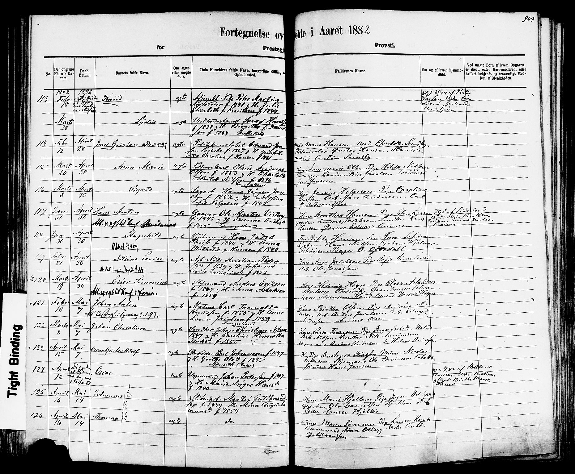 Larvik kirkebøker, AV/SAKO-A-352/F/Fa/L0006: Parish register (official) no. I 6, 1871-1883, p. 243