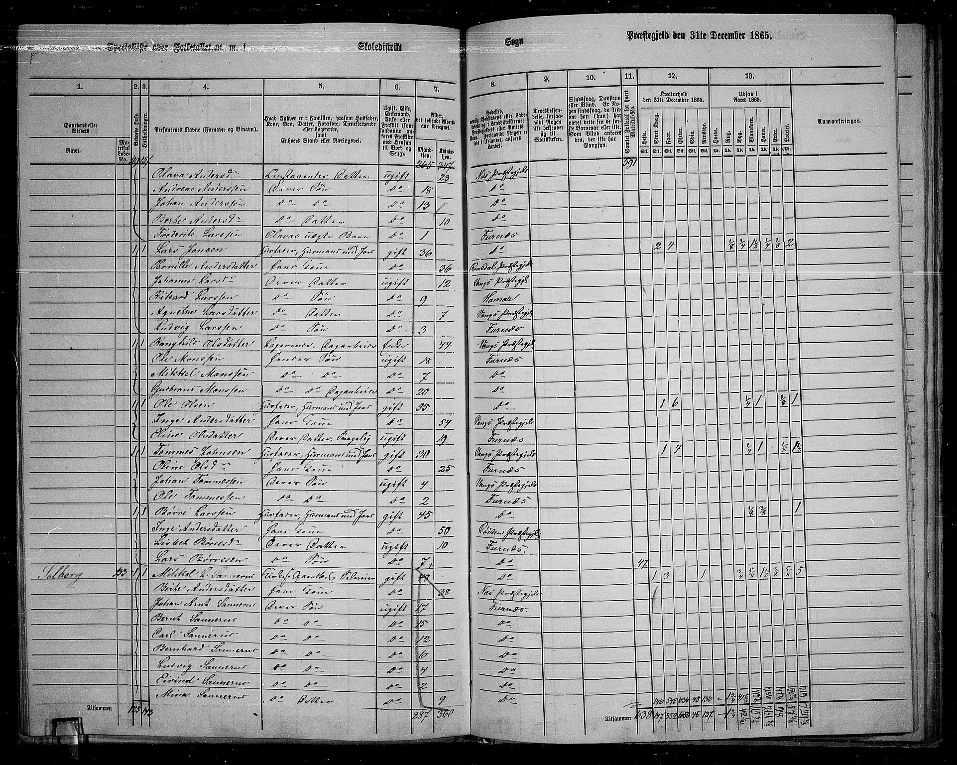 RA, 1865 census for Vang/Vang og Furnes, 1865, p. 110