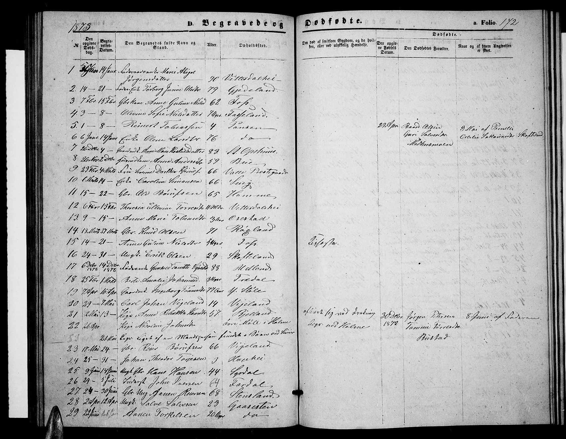 Sør-Audnedal sokneprestkontor, AV/SAK-1111-0039/F/Fb/Fbb/L0004: Parish register (copy) no. B 4, 1868-1879, p. 172