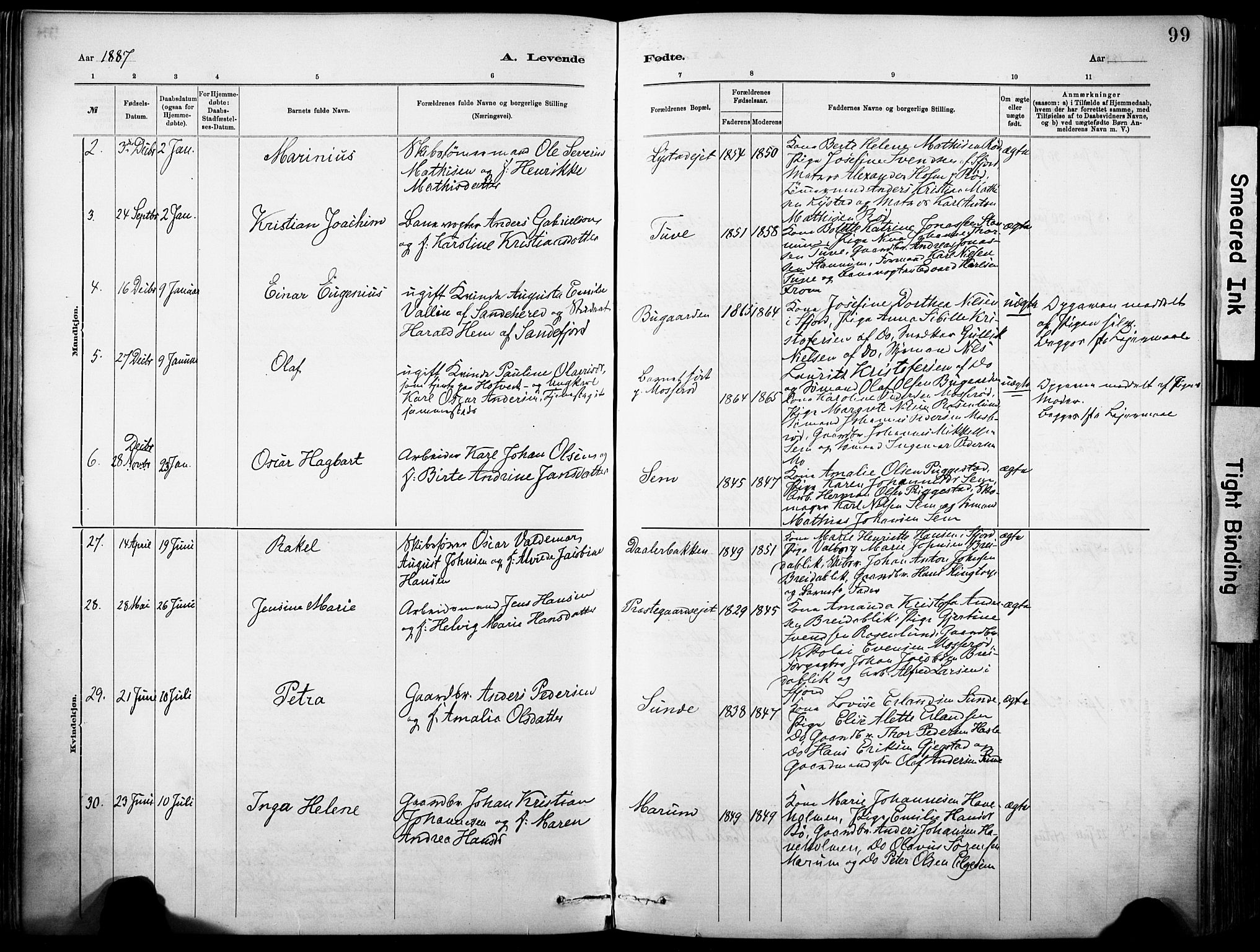 Sandar kirkebøker, SAKO/A-243/F/Fa/L0012: Parish register (official) no. 12, 1883-1895, p. 99