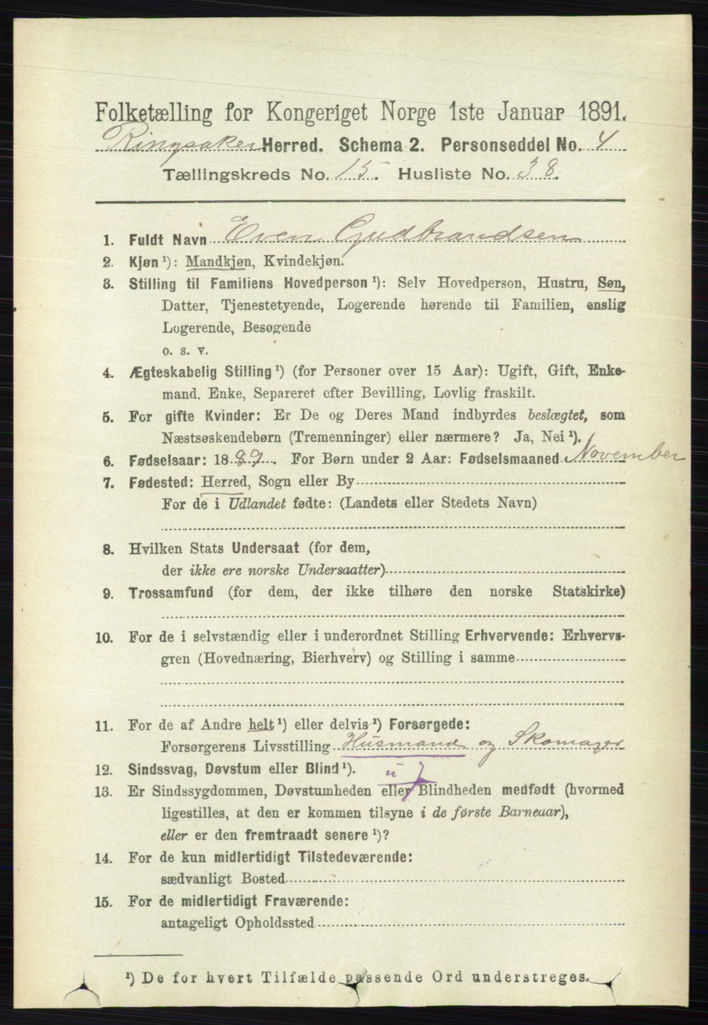 RA, 1891 census for 0412 Ringsaker, 1891, p. 8732