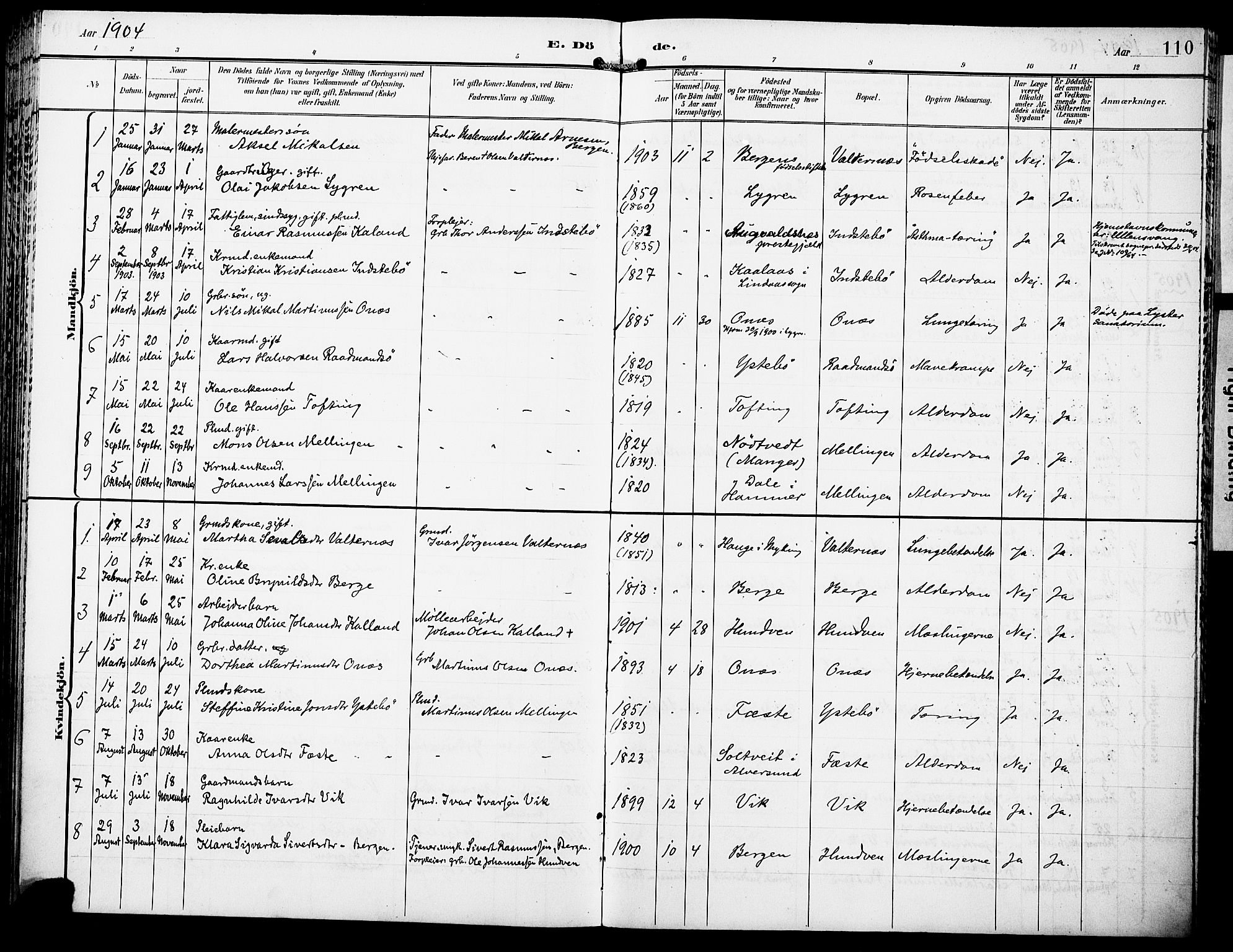 Lindås Sokneprestembete, AV/SAB-A-76701/H/Haa/Haae/L0002: Parish register (official) no. E 2, 1897-1912, p. 110