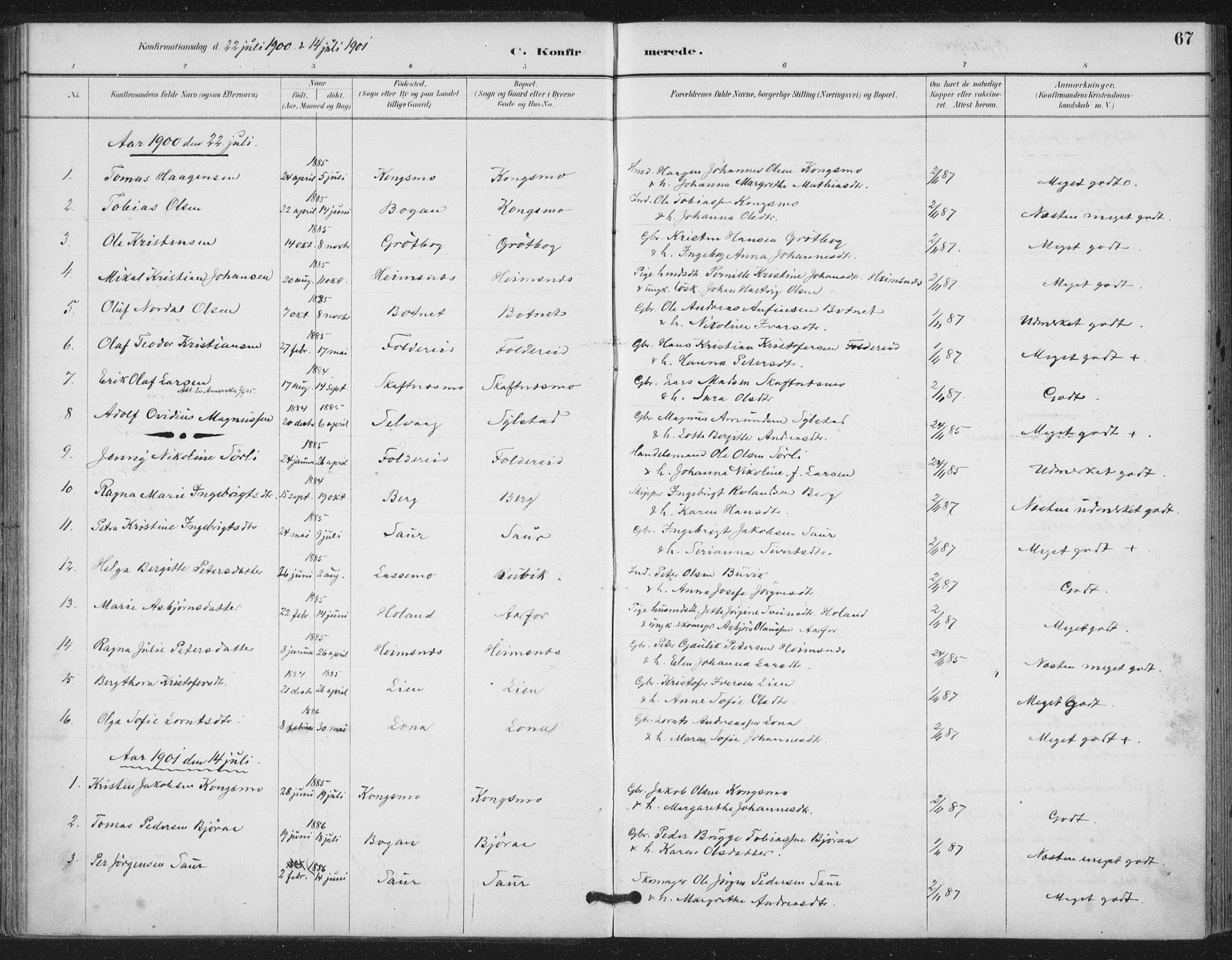 Ministerialprotokoller, klokkerbøker og fødselsregistre - Nord-Trøndelag, SAT/A-1458/783/L0660: Parish register (official) no. 783A02, 1886-1918, p. 67