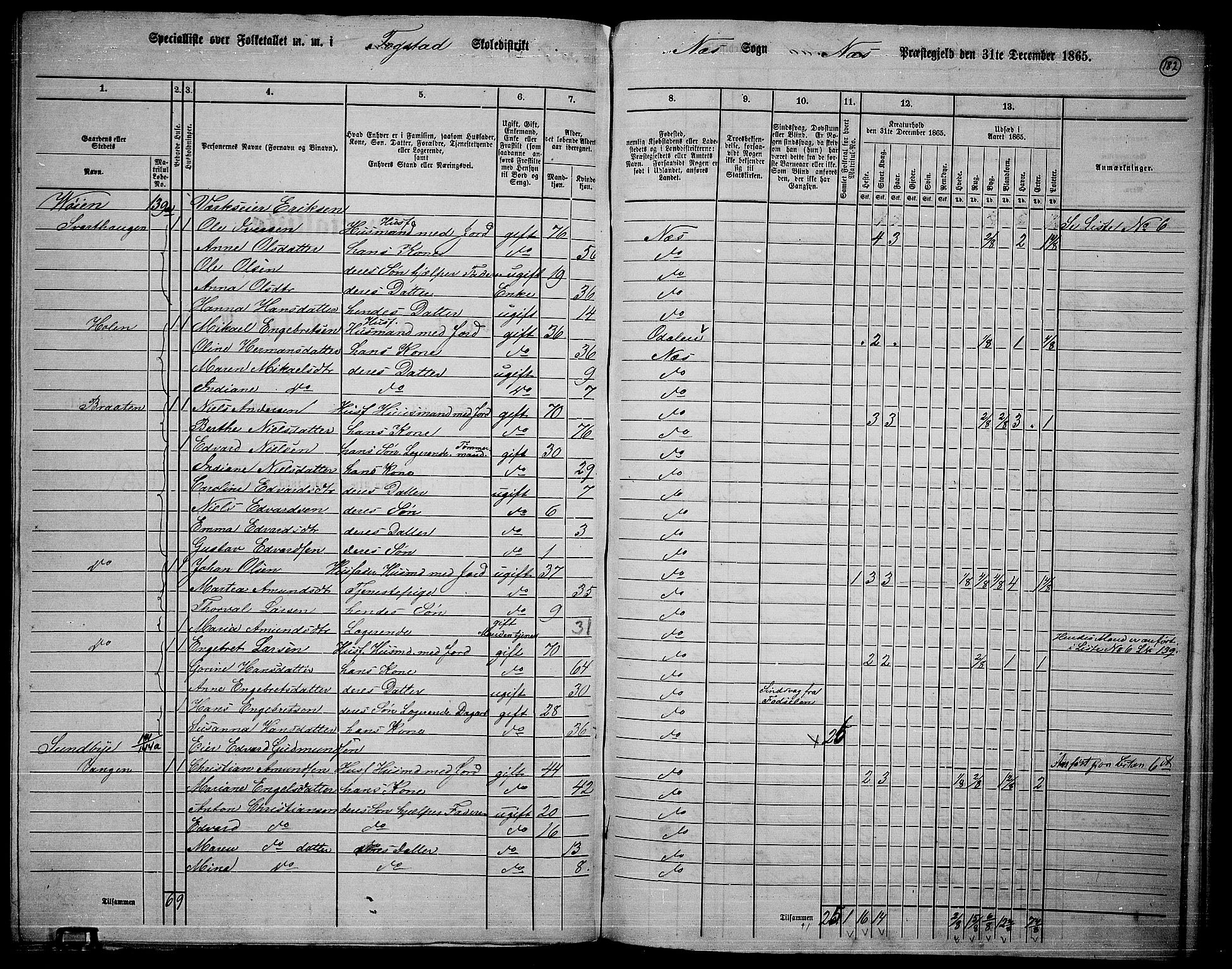 RA, 1865 census for Nes, 1865, p. 165