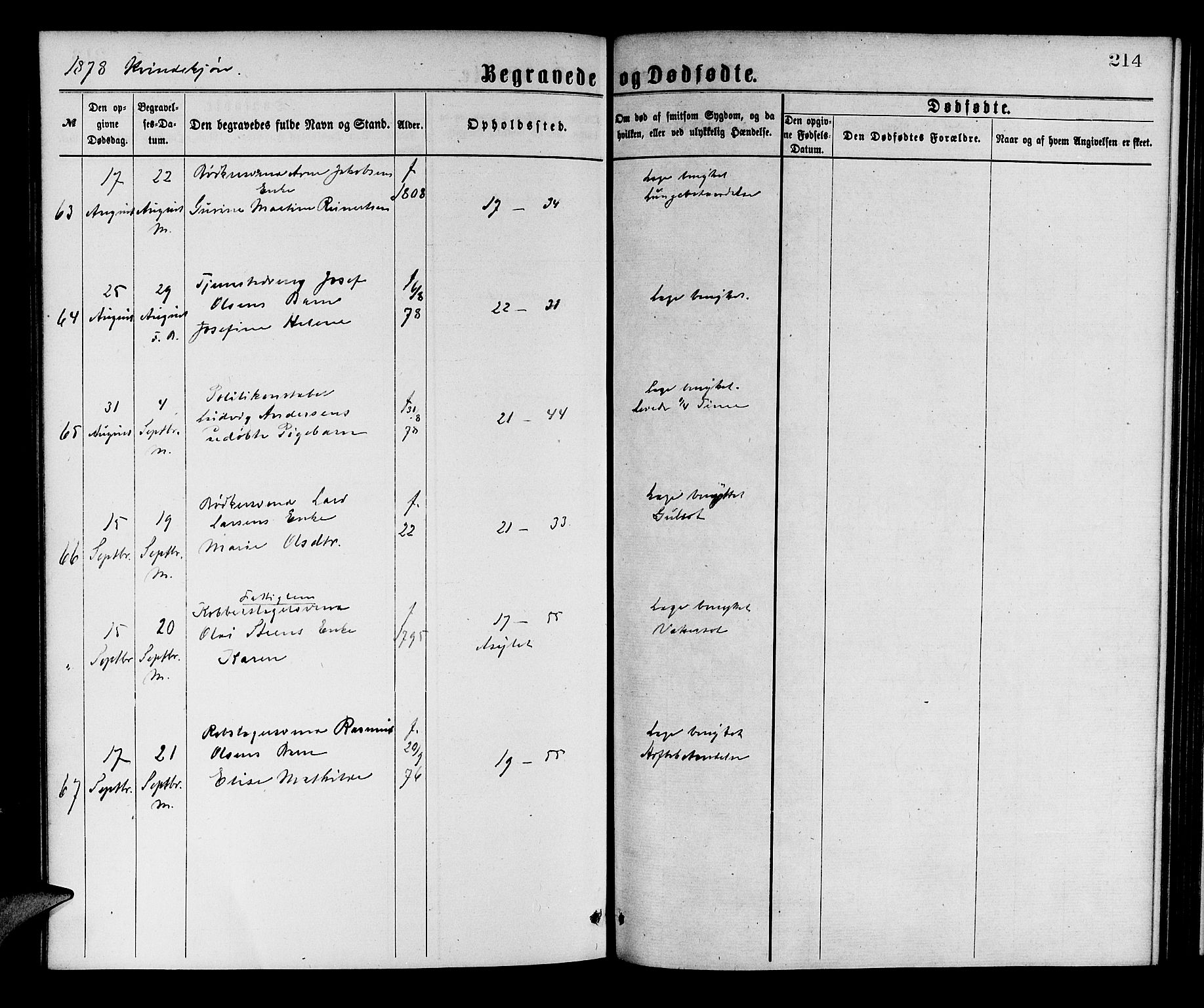 Korskirken sokneprestembete, AV/SAB-A-76101/H/Hab: Parish register (copy) no. E 3, 1871-1883, p. 214