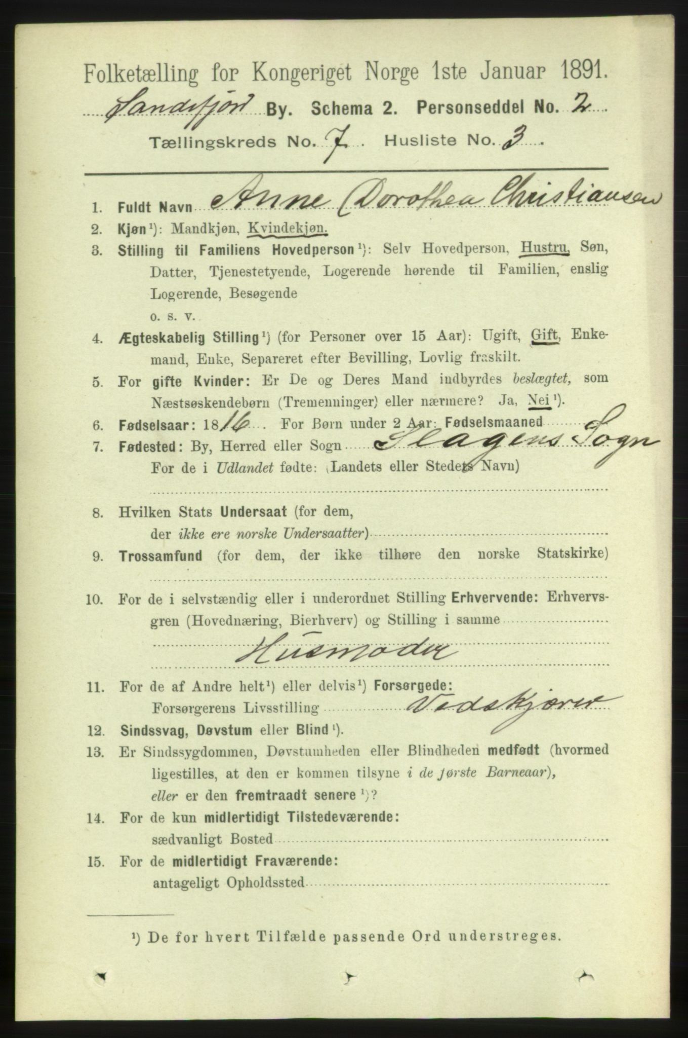 RA, 1891 census for 0706 Sandefjord, 1891, p. 2894