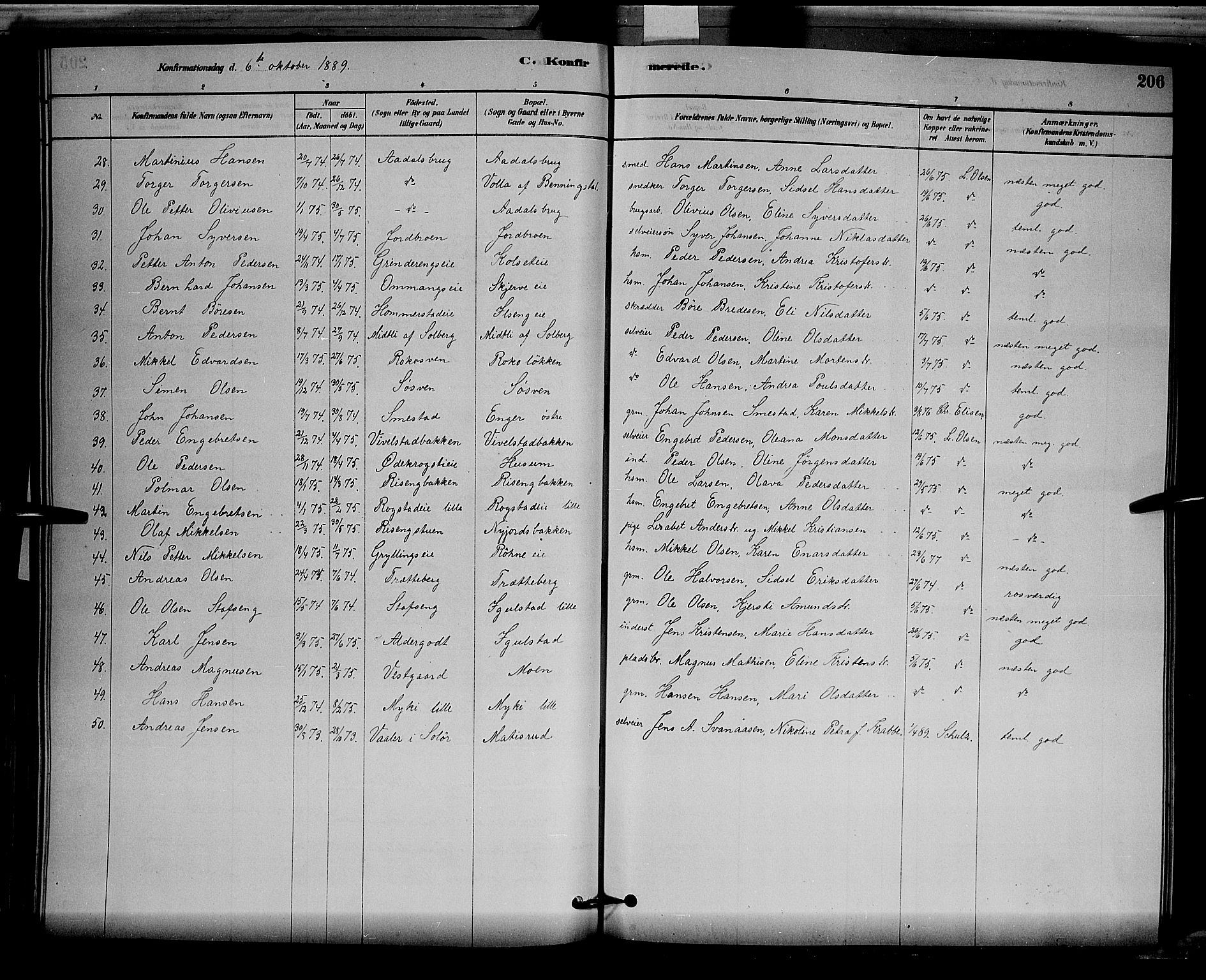 Løten prestekontor, SAH/PREST-022/L/La/L0005: Parish register (copy) no. 5, 1878-1891, p. 206
