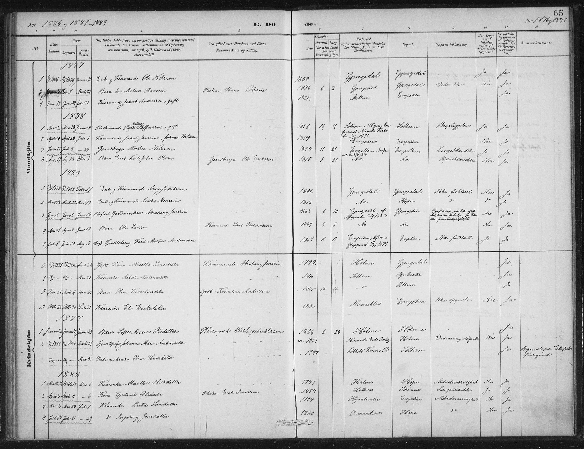 Gloppen sokneprestembete, SAB/A-80101/H/Haa/Haae/L0001: Parish register (official) no. E  1, 1885-1904, p. 65