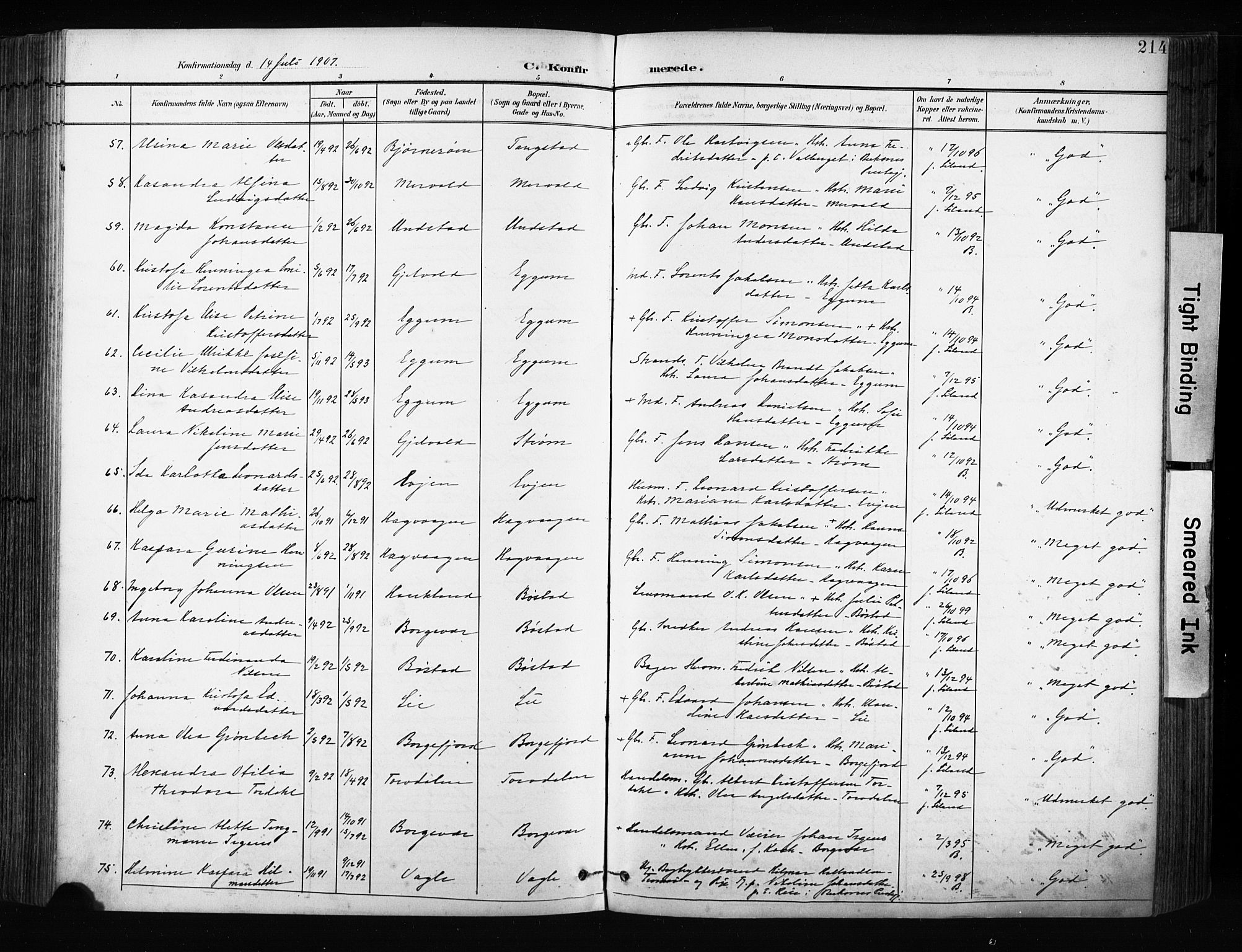 Ministerialprotokoller, klokkerbøker og fødselsregistre - Nordland, AV/SAT-A-1459/880/L1134: Parish register (official) no. 880A08, 1899-1908, p. 214