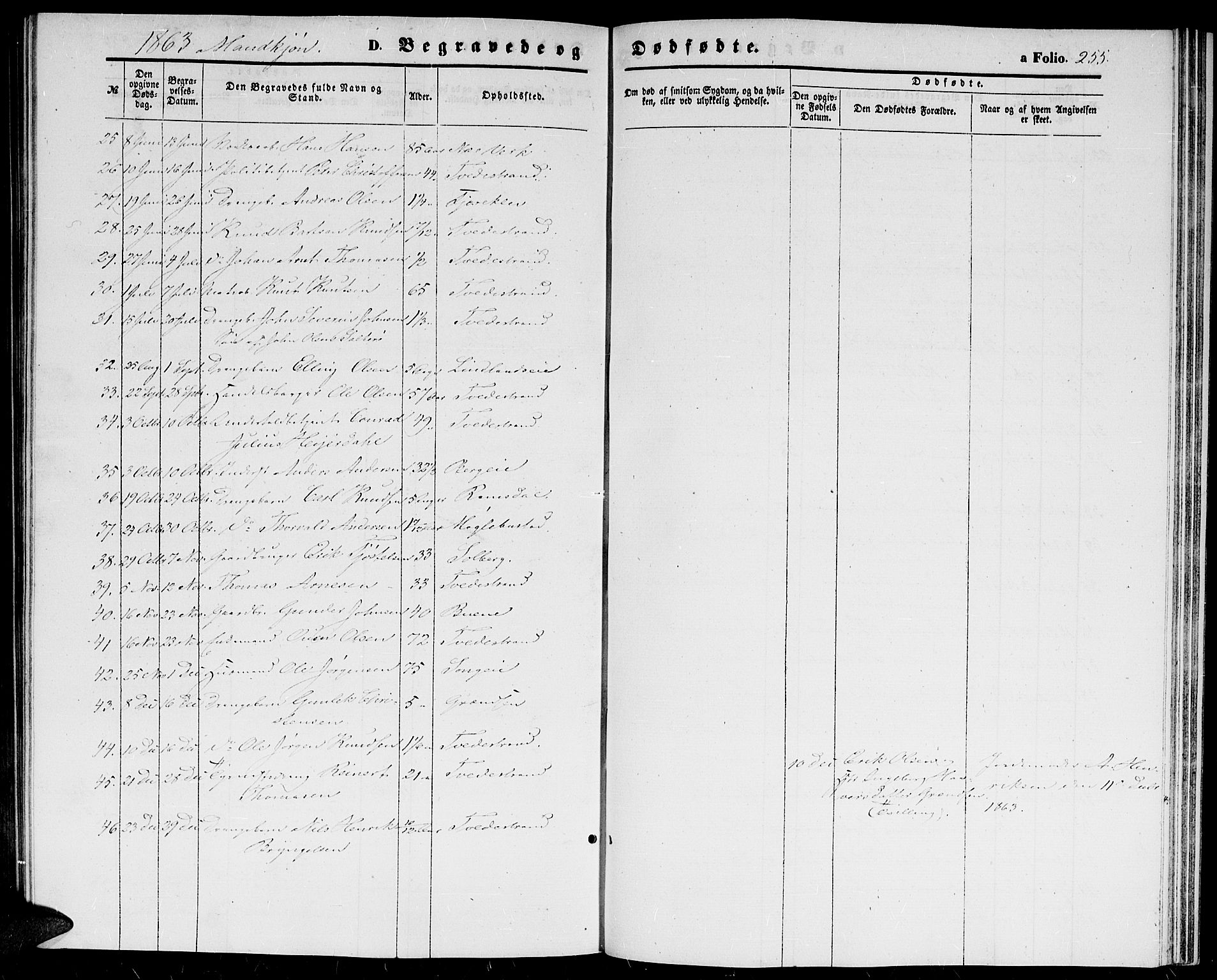 Holt sokneprestkontor, AV/SAK-1111-0021/F/Fb/L0008: Parish register (copy) no. B 8, 1858-1871, p. 255