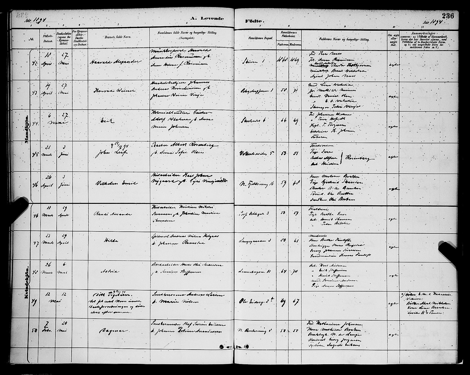 Korskirken sokneprestembete, SAB/A-76101/H/Hab: Parish register (copy) no. B 9, 1887-1896, p. 236
