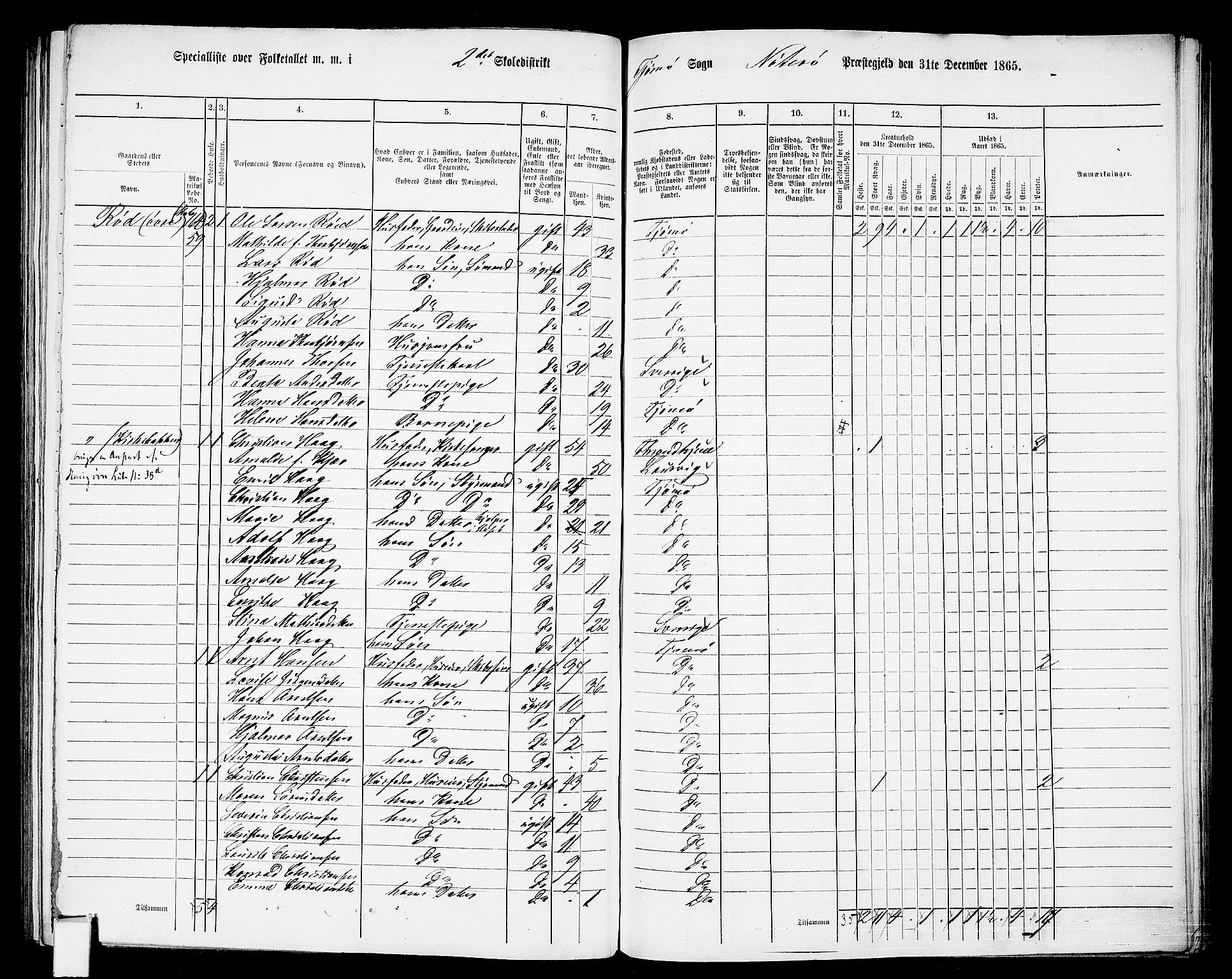 RA, 1865 census for Nøtterøy, 1865, p. 234