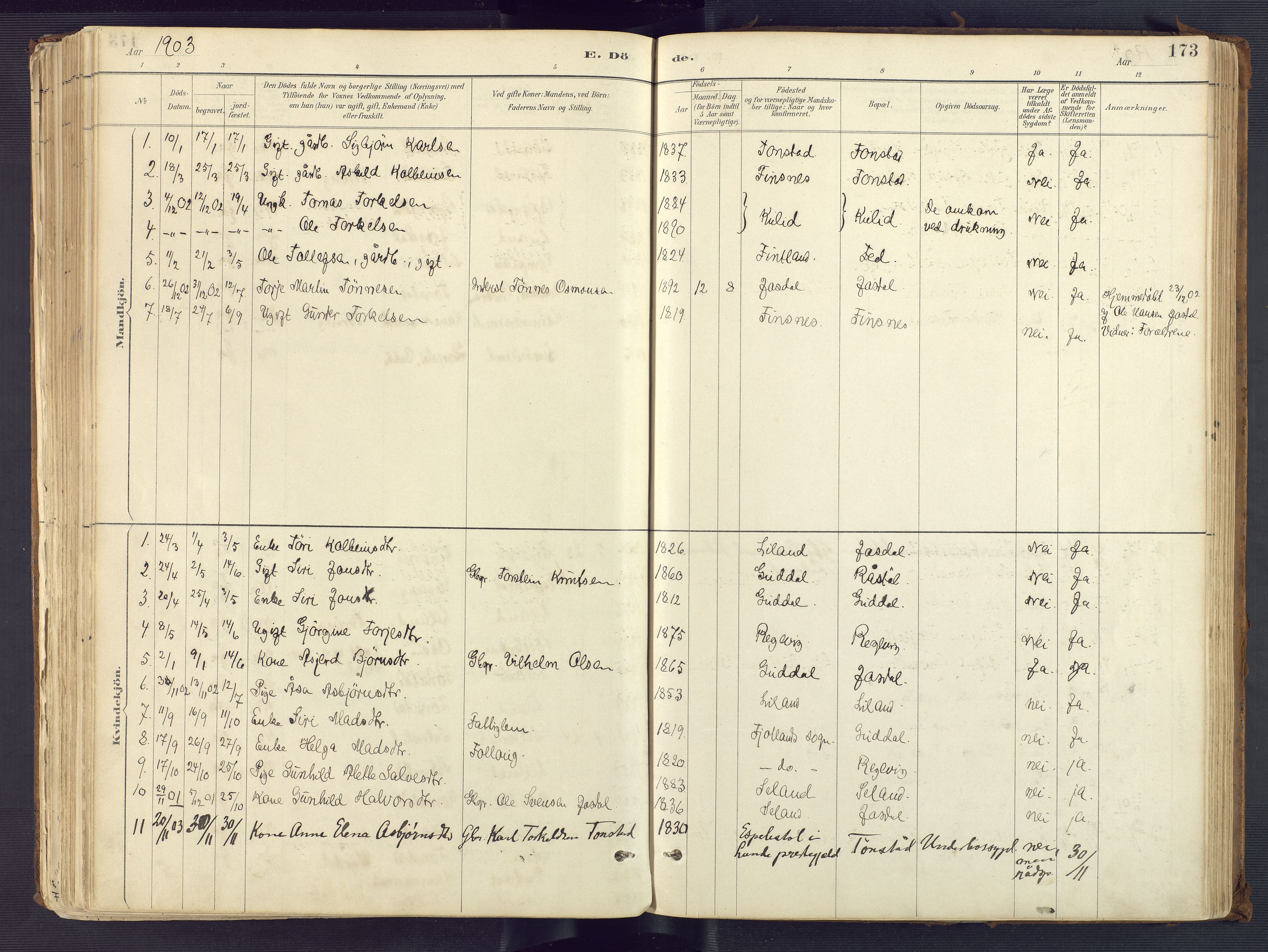 Sirdal sokneprestkontor, AV/SAK-1111-0036/F/Fa/Fab/L0004: Parish register (official) no. A 4, 1887-1919, p. 173