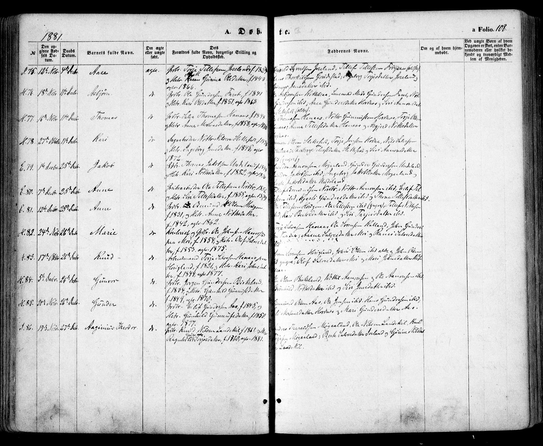 Evje sokneprestkontor, SAK/1111-0008/F/Fa/Faa/L0006: Parish register (official) no. A 6, 1866-1884, p. 108