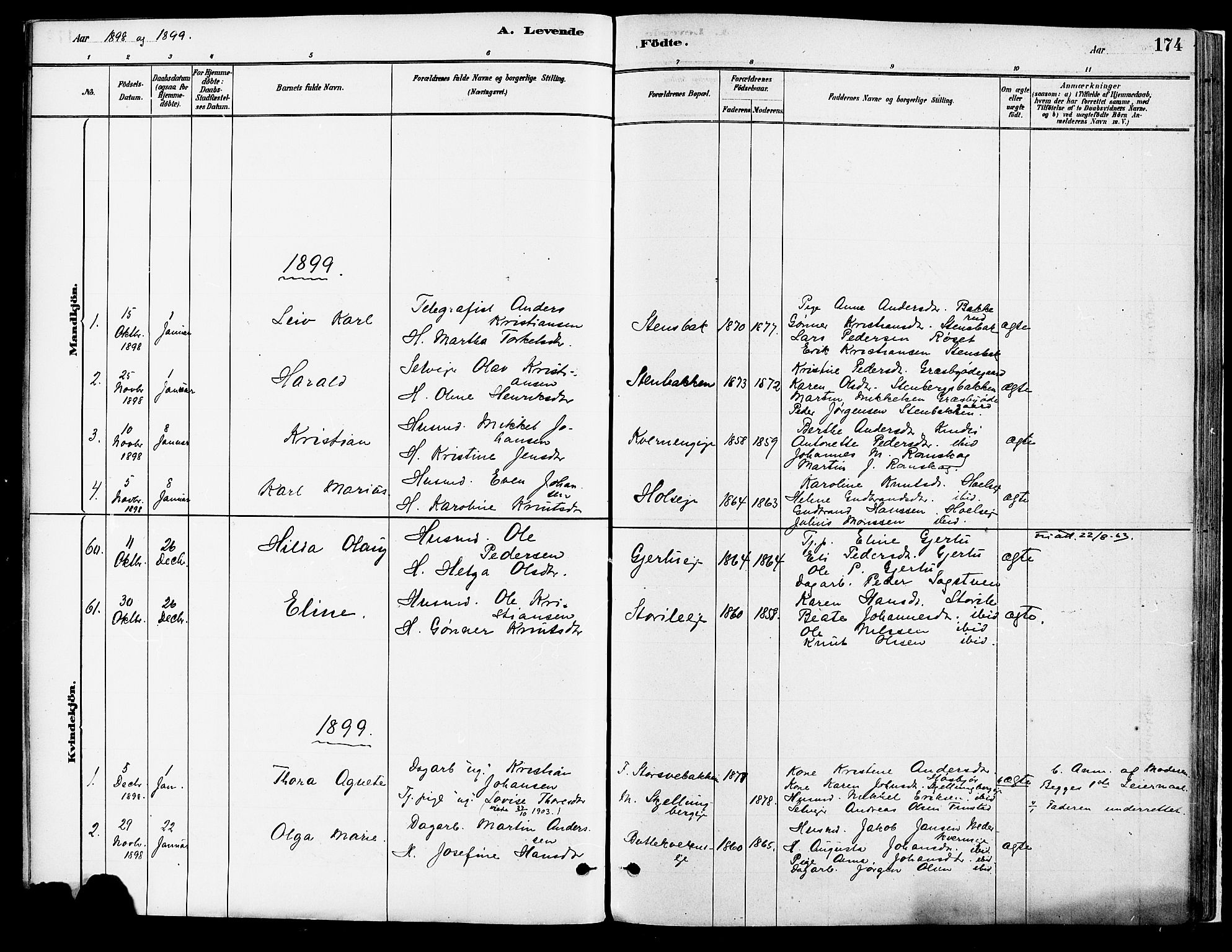 Vang prestekontor, Hedmark, SAH/PREST-008/H/Ha/Haa/L0018A: Parish register (official) no. 18A, 1880-1906, p. 174