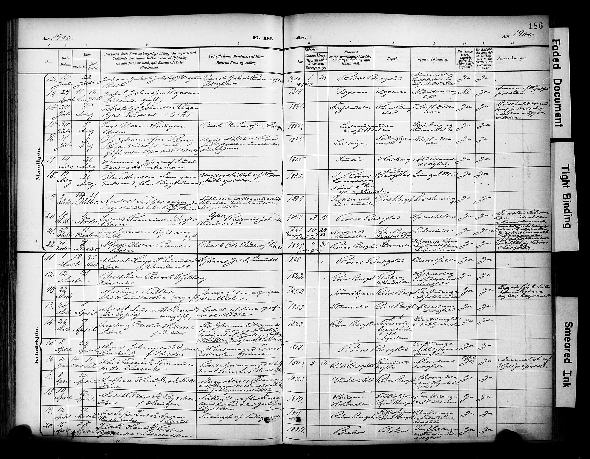 Ministerialprotokoller, klokkerbøker og fødselsregistre - Sør-Trøndelag, SAT/A-1456/681/L0936: Parish register (official) no. 681A14, 1899-1908, p. 186