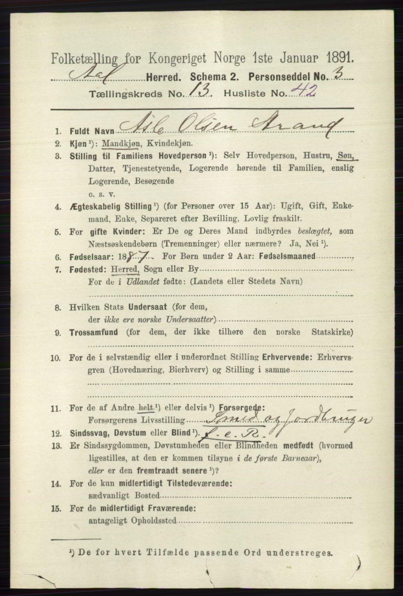 RA, 1891 census for 0619 Ål, 1891, p. 3496